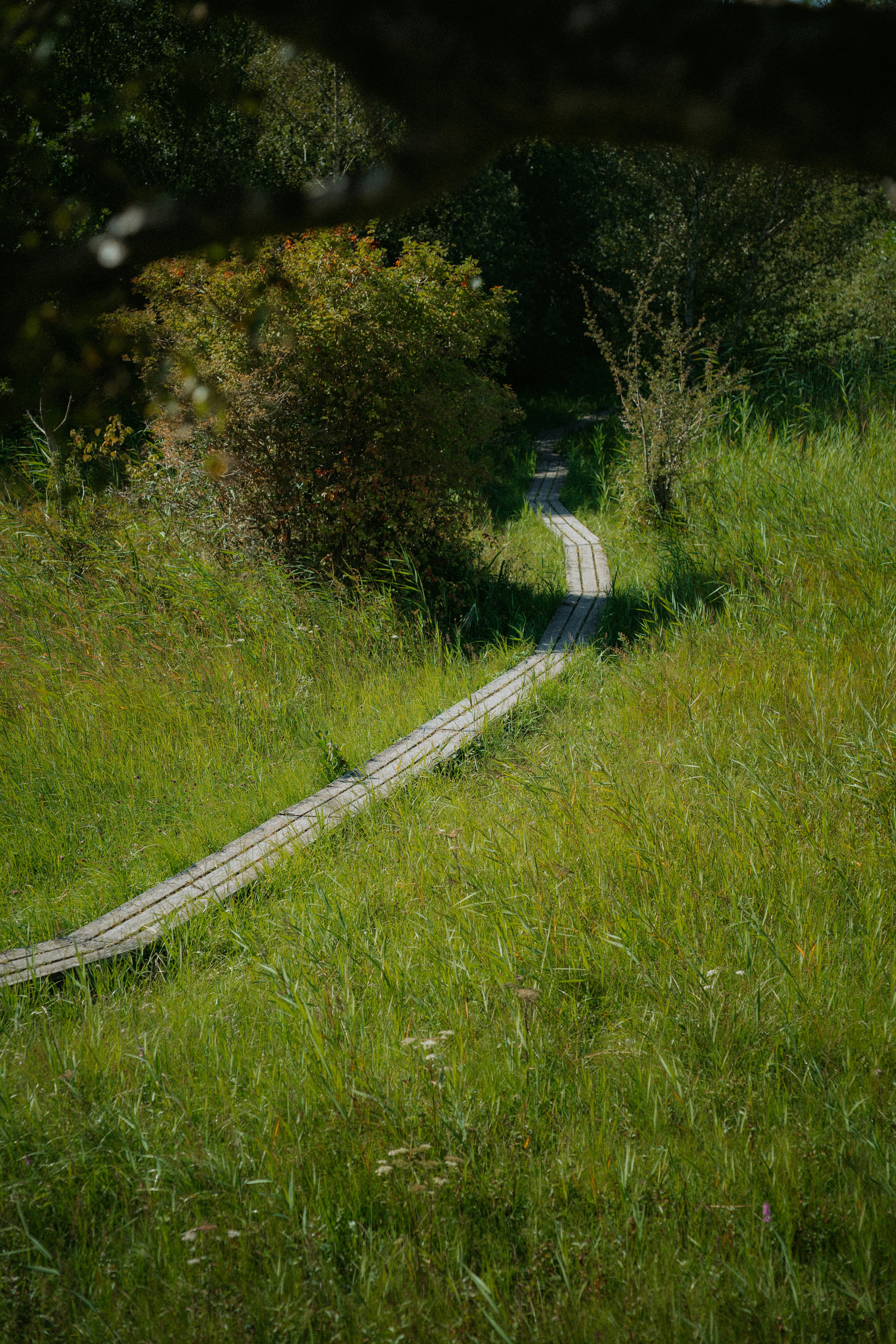 Photo by dermanuskript