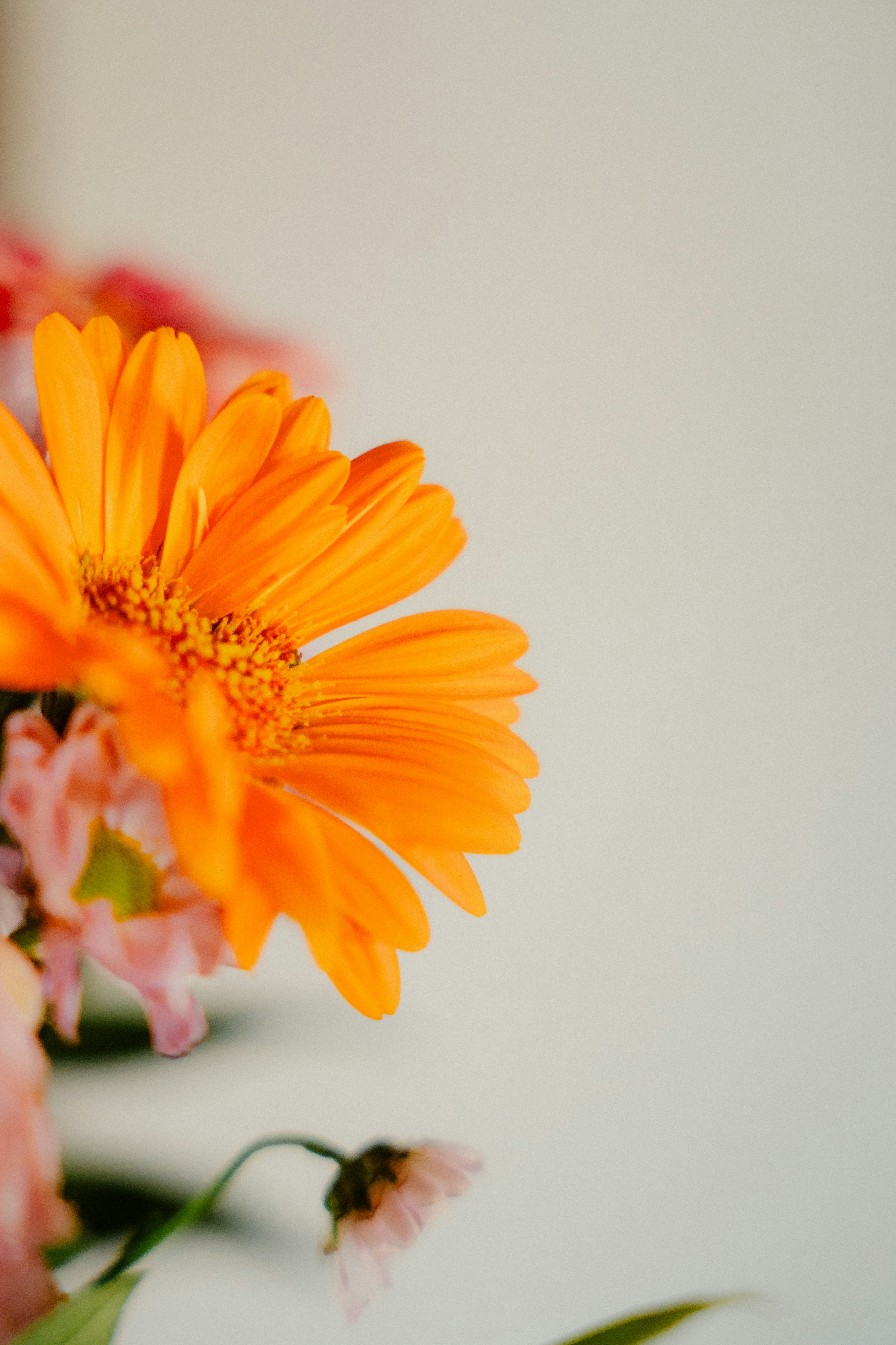 Photo by dermanuskript