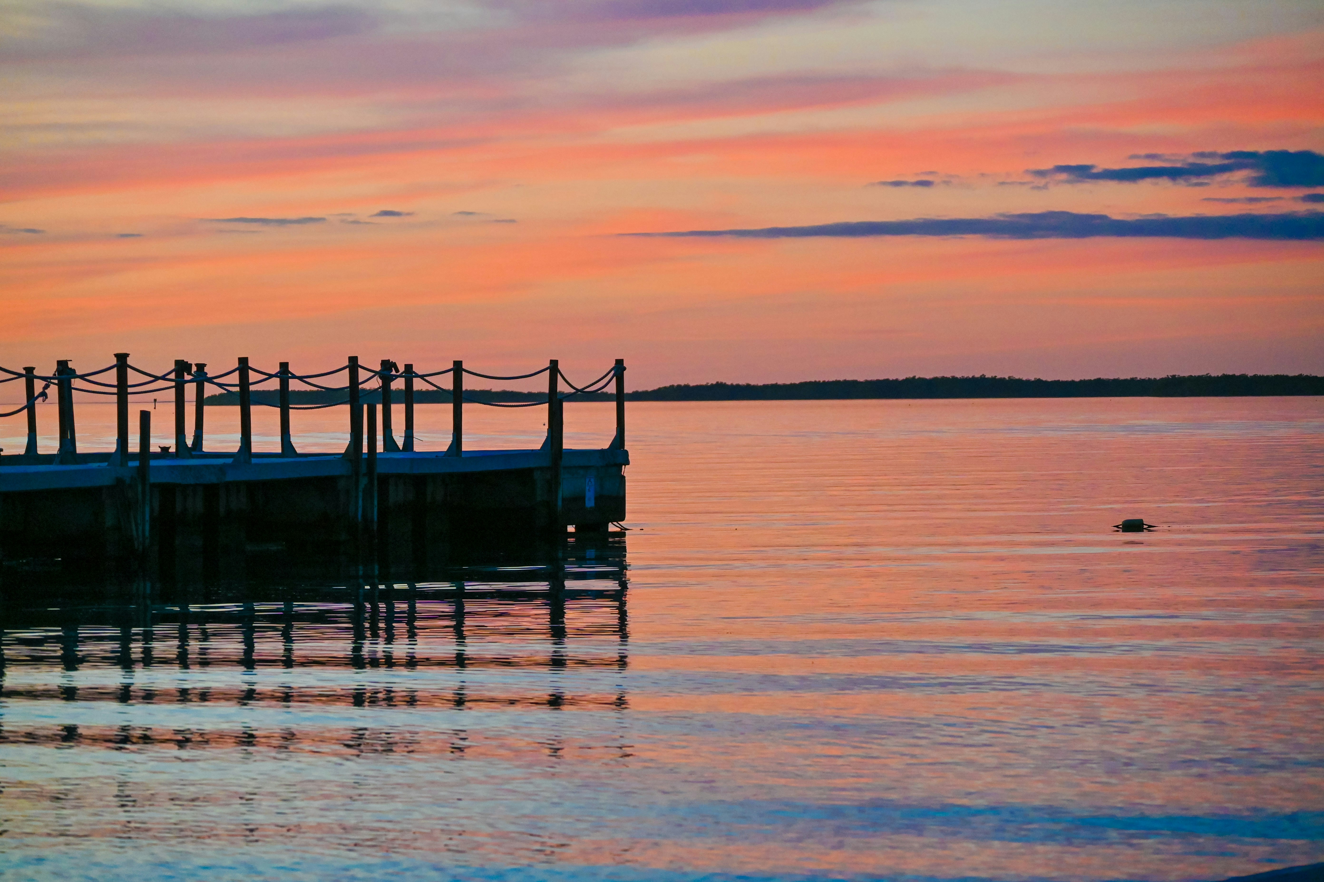 Photo by katuriakhila