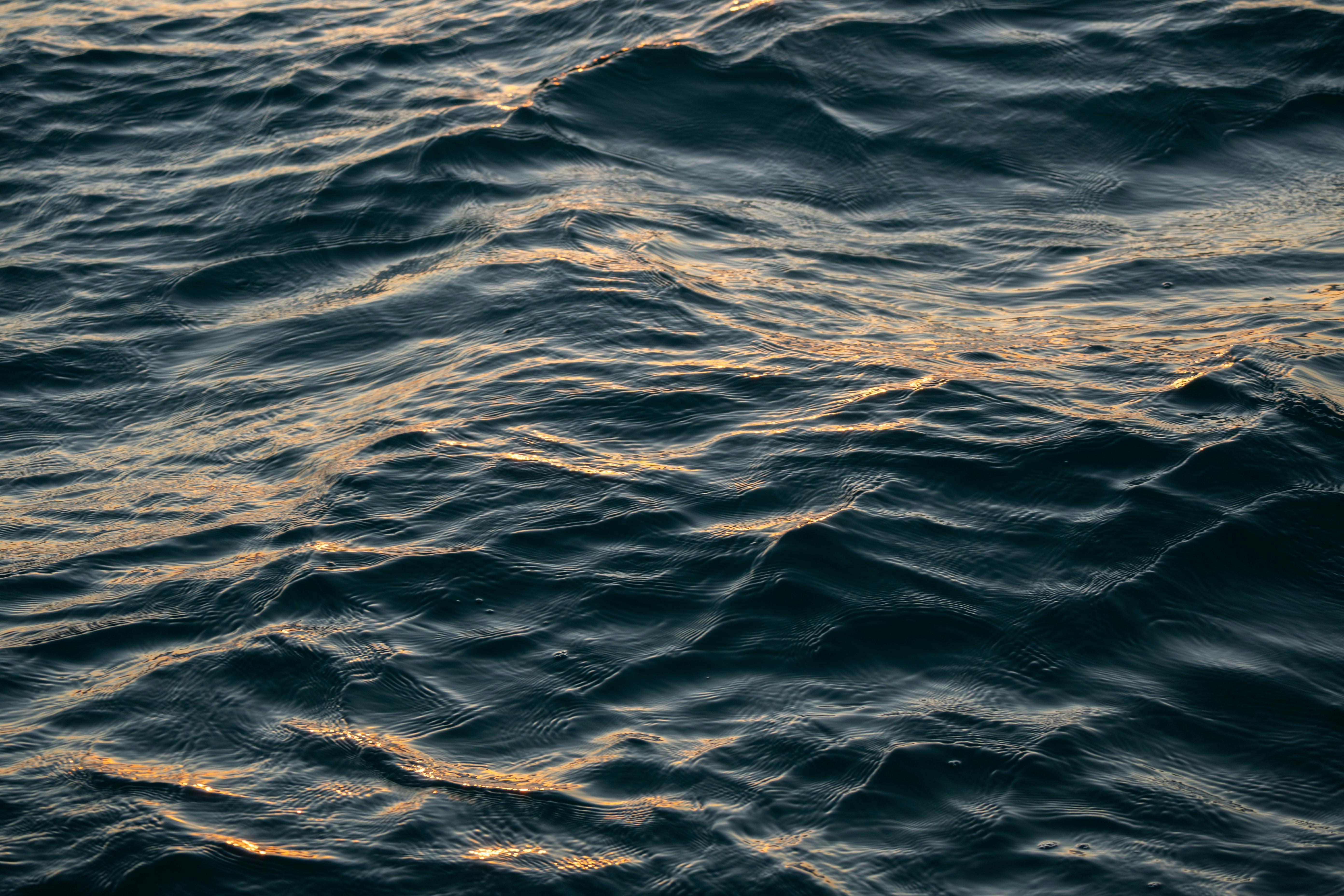 Photo by katuriakhila