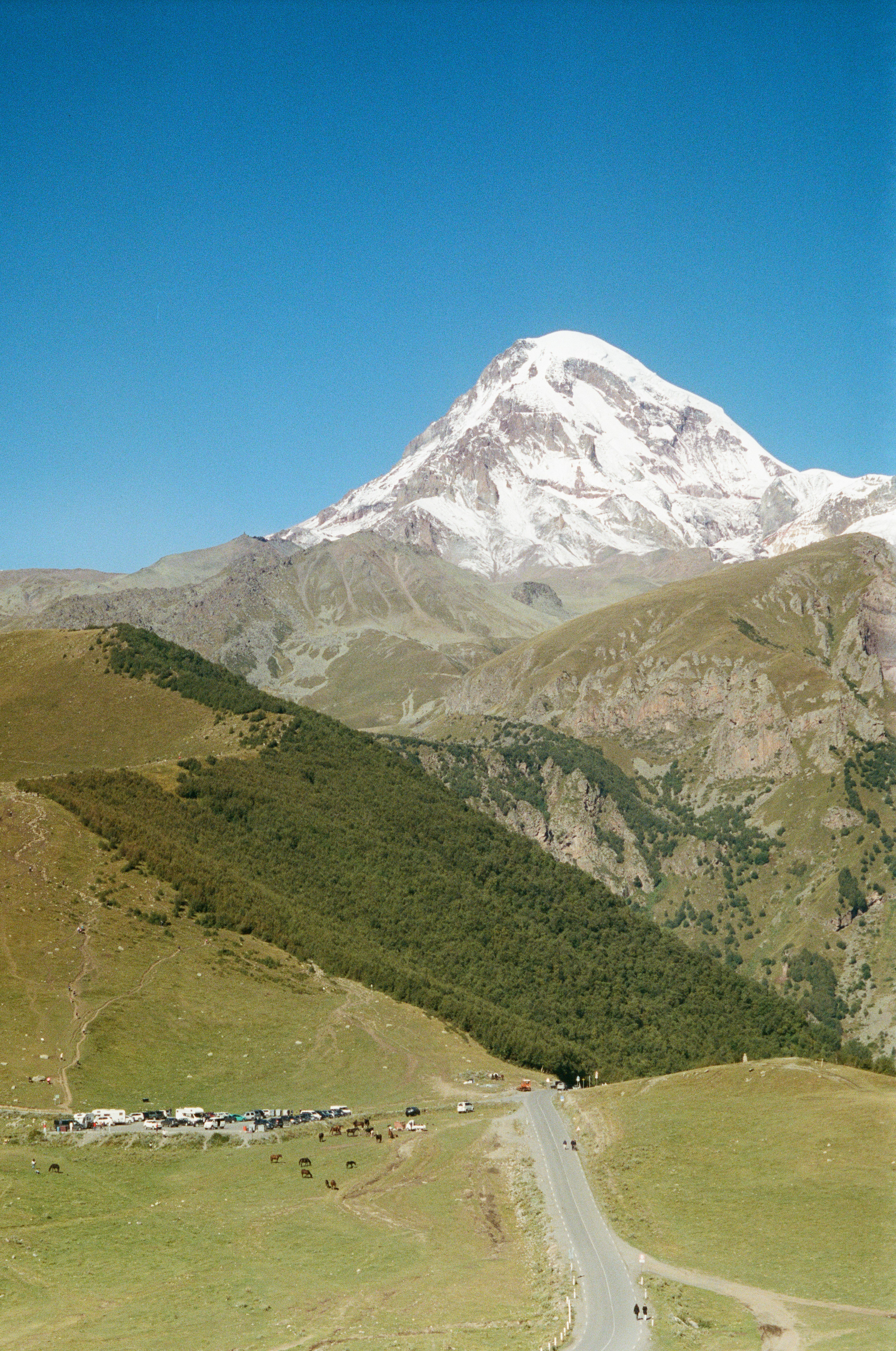 photo-1759867584916-cc705d0c78f5?ixid=M3wxMjA3fDB8MXxzZWFyY2h8MTZ8fGJhY2tsaW5rJTIwZnJvbSUyMHdpa2lwZWRpYXxlbnwwfHx8fDE3NjA4NjAwODd8MA\u0026ixlib=rb-4.1.0