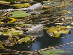 Plastic bottles floating in polluted water with debris.