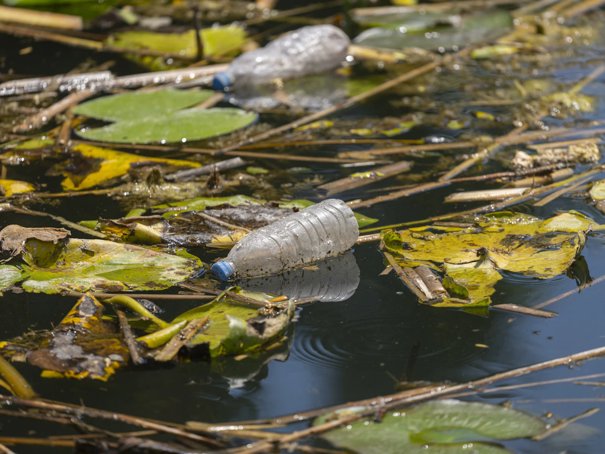 Botol plastik mengambang di air sungai yang tercemar