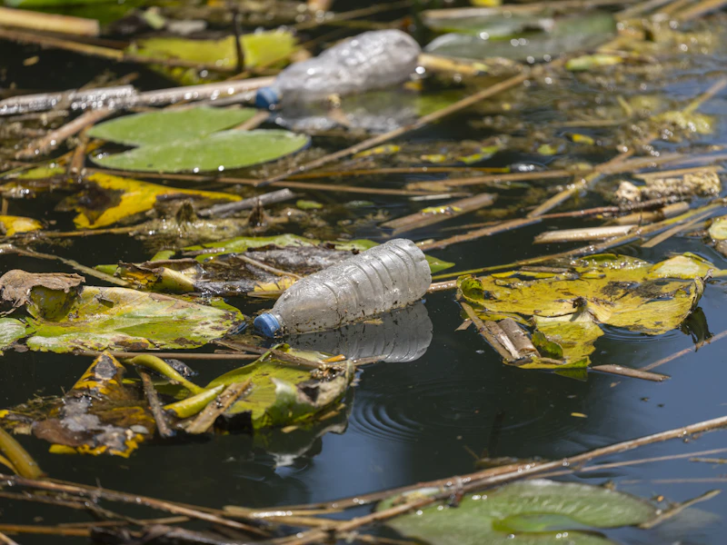 Plastic bottles and debris floating in polluted river water