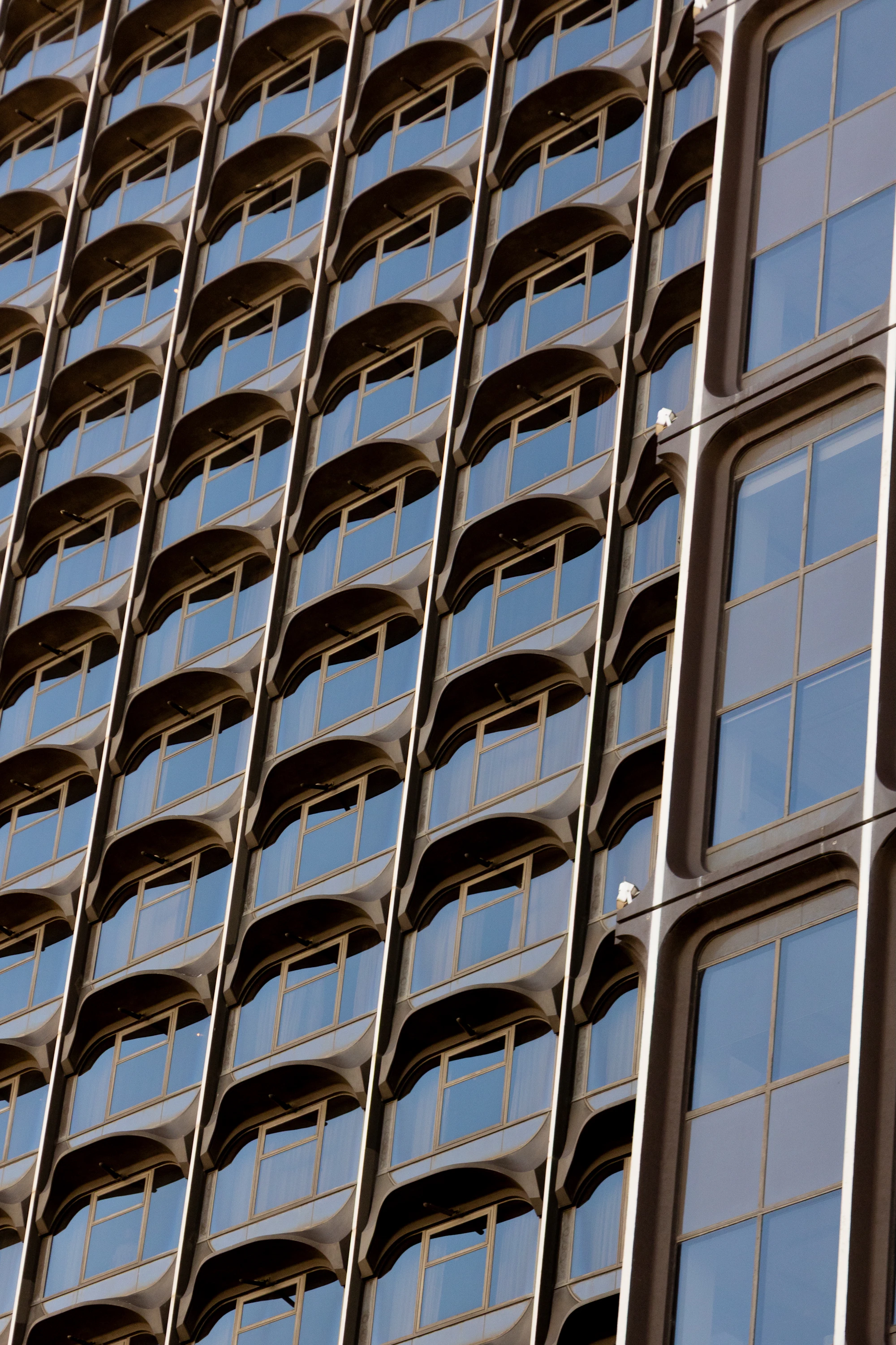 Repeating geometric windows across a modern Sydney building facade