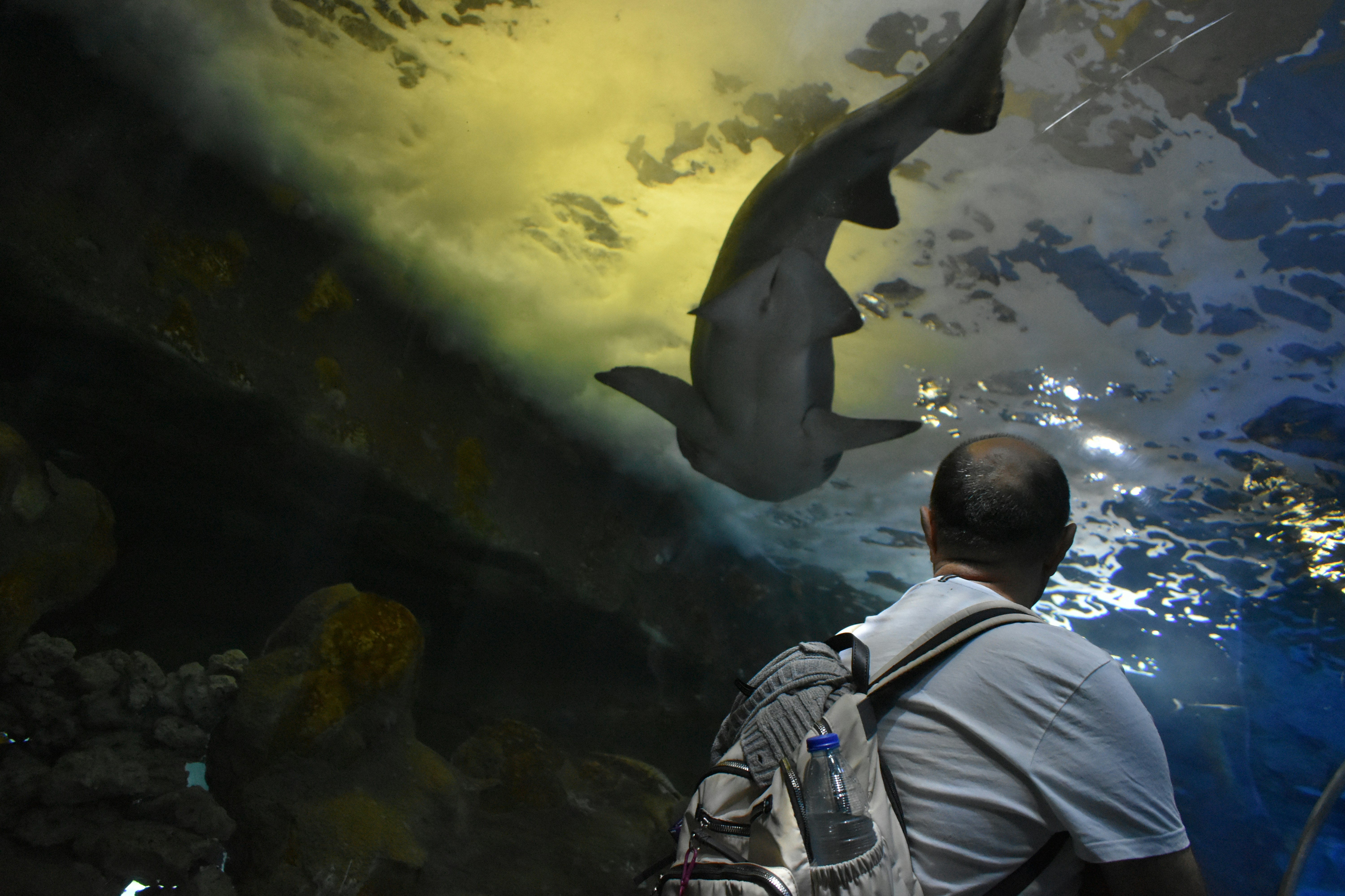 Photo by niloufarmirhadi