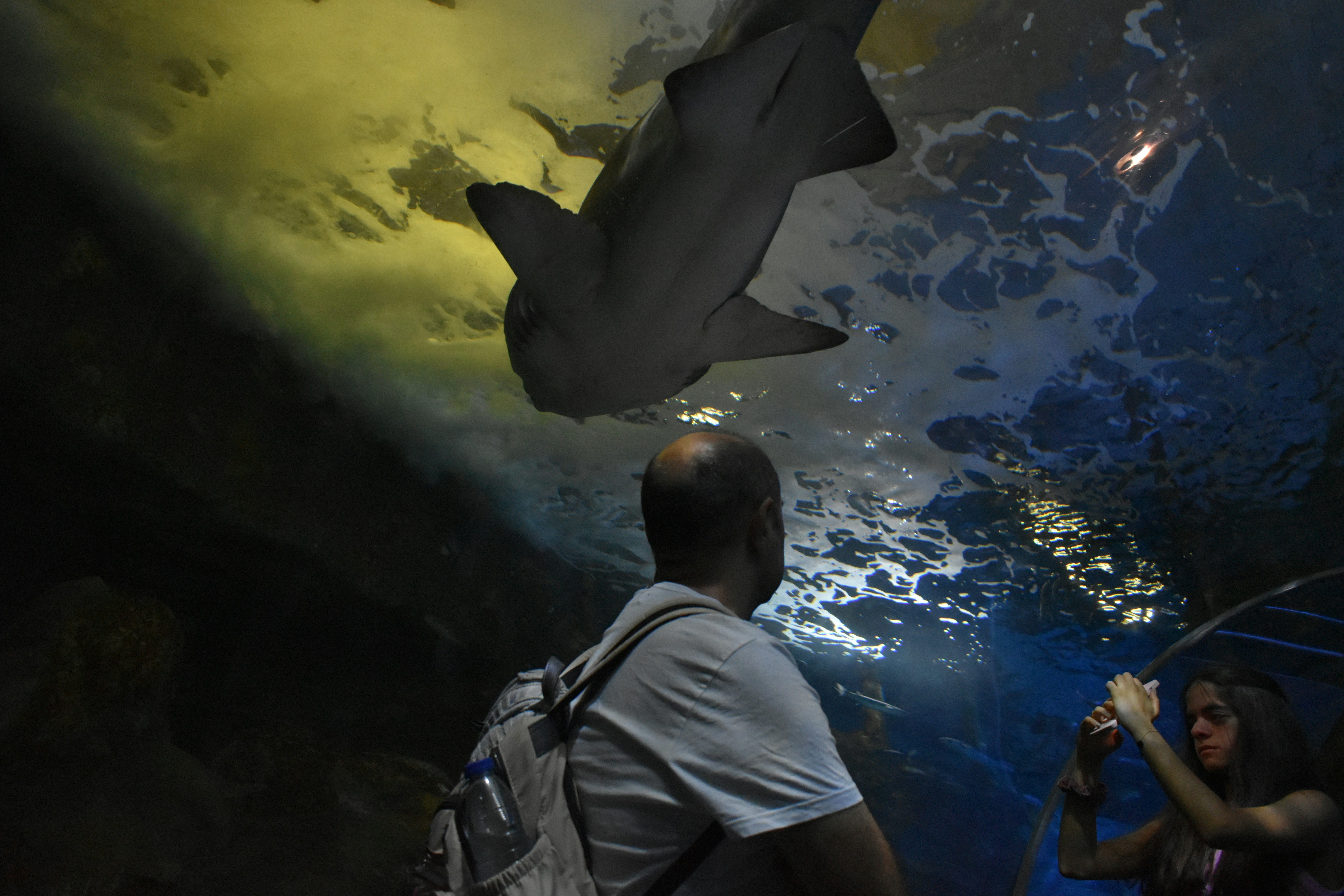 Photo by niloufarmirhadi