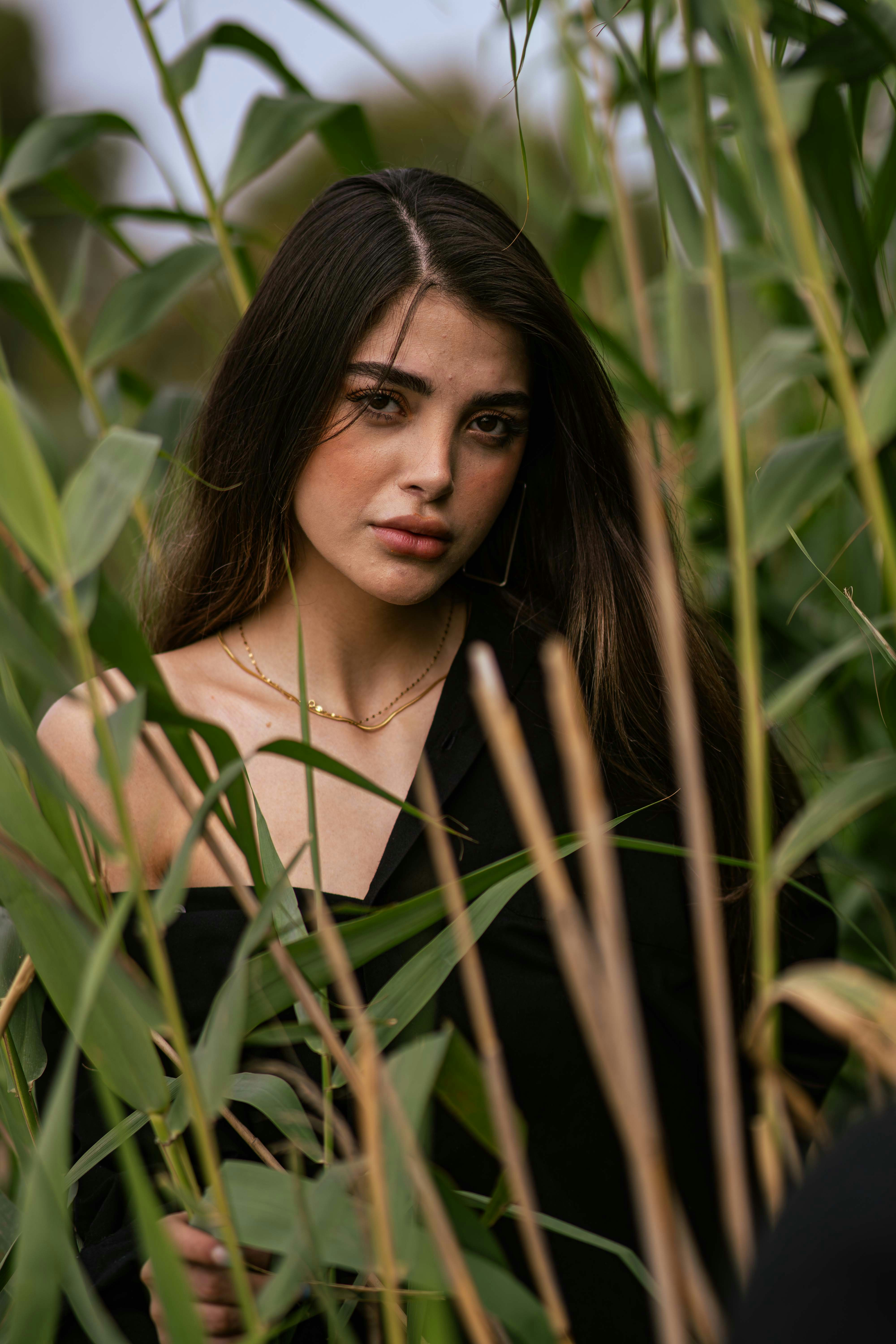 Photo by aminnaderloei