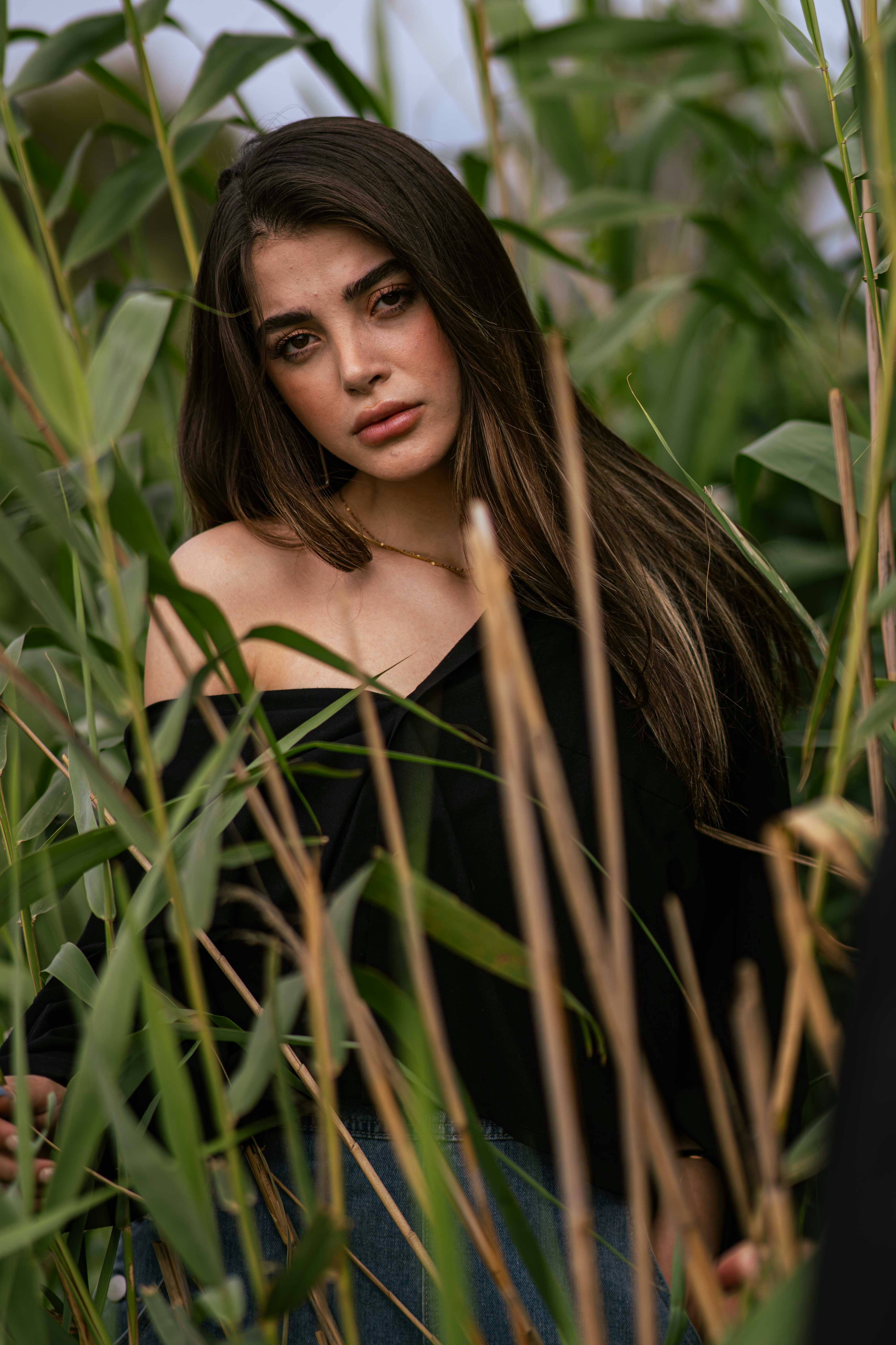 Photo by aminnaderloei