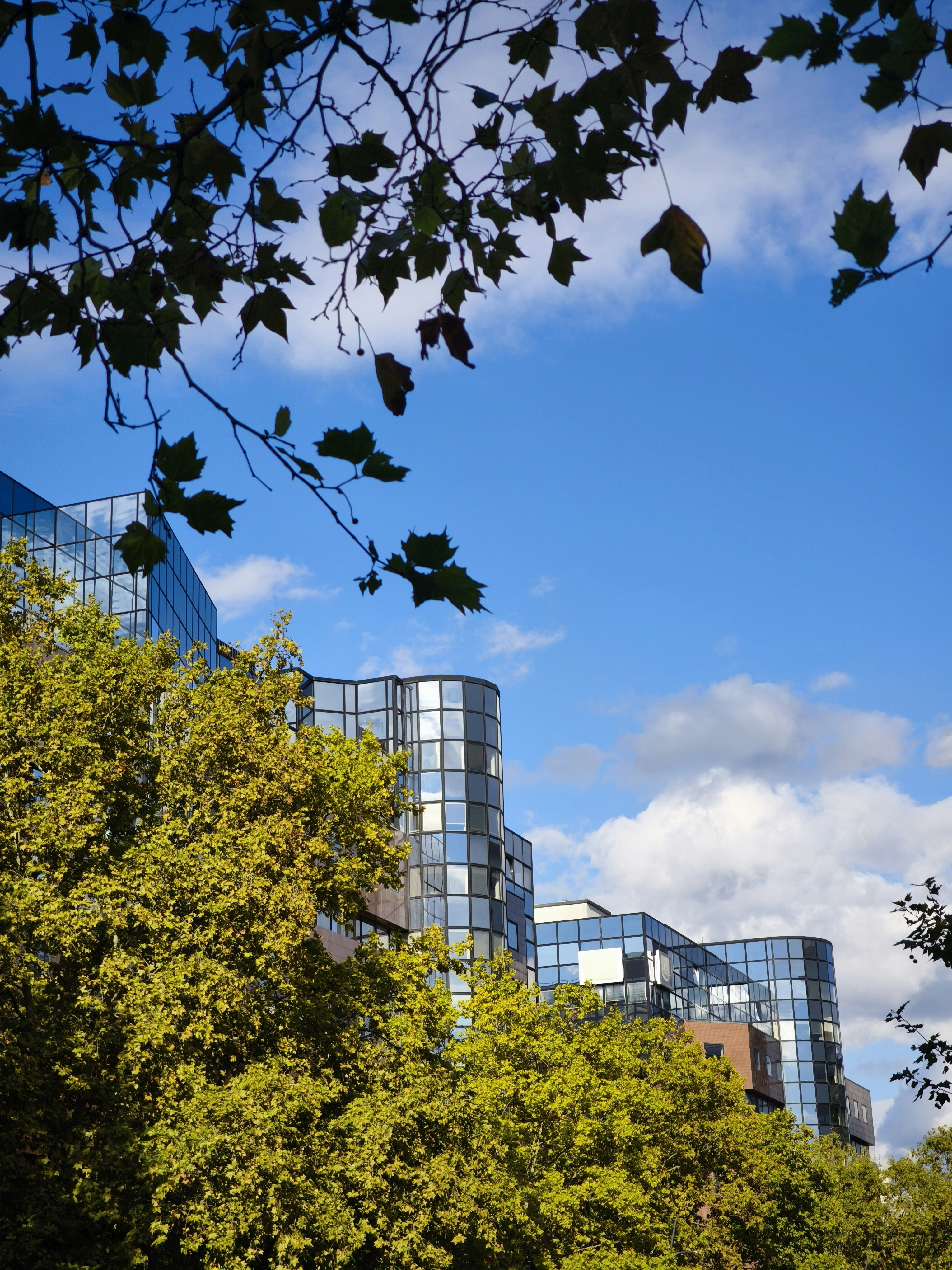 Photo by filipenobre