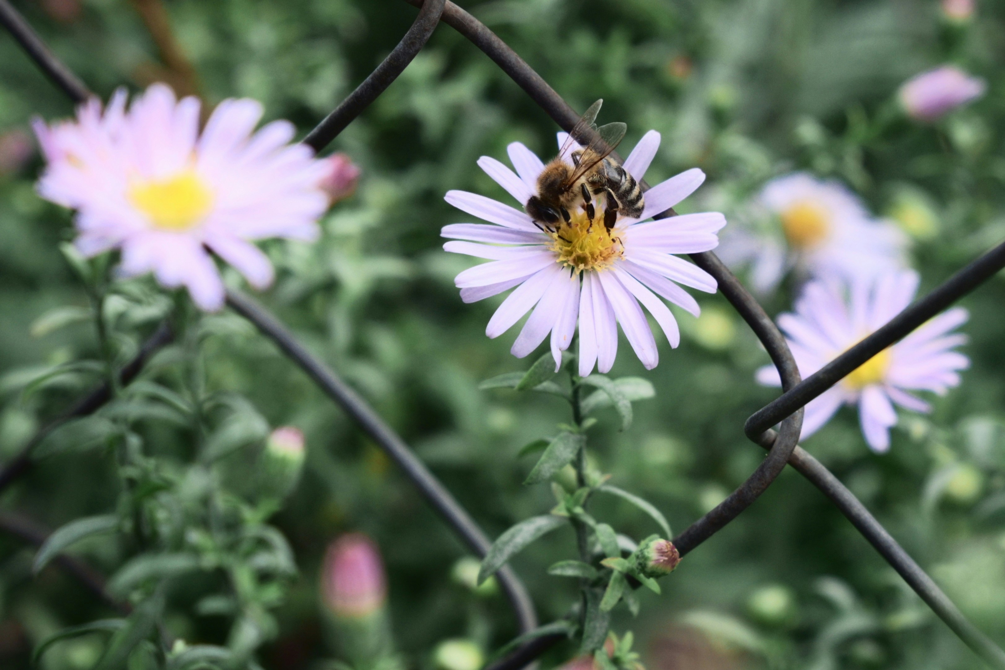 Photo by lvovandrewph