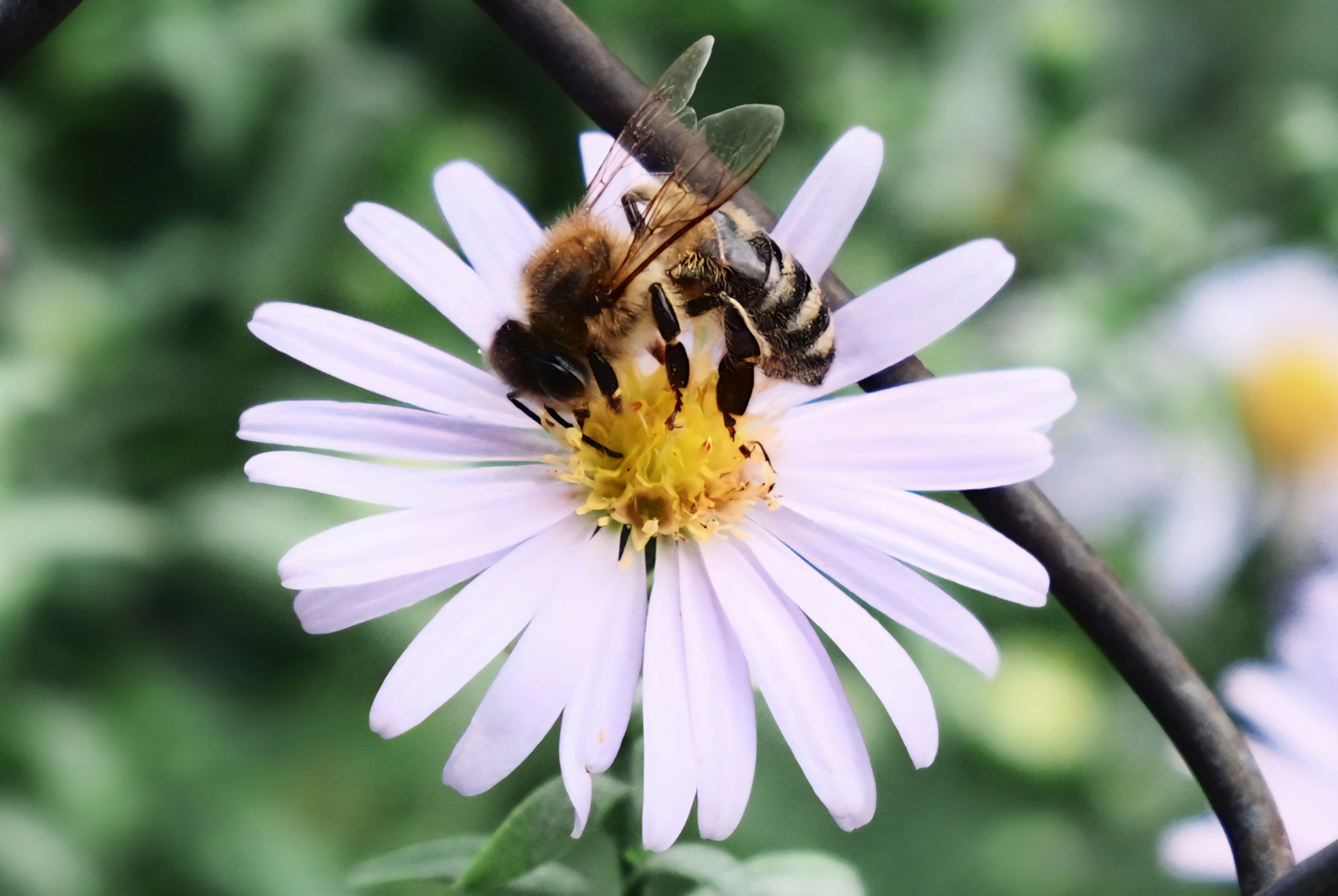 Photo by lvovandrewph