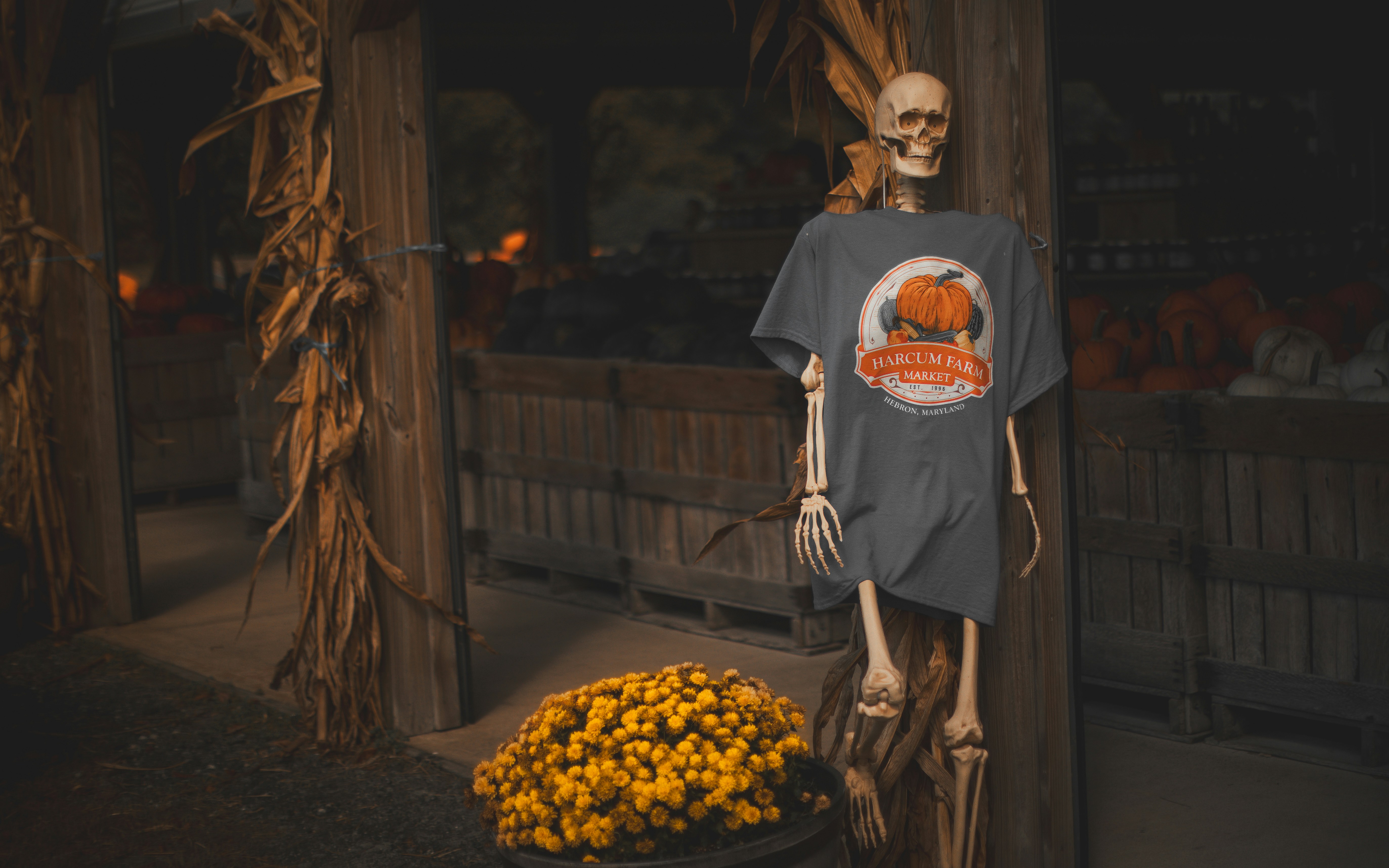 Skeleton wearing a t-shirt with pumpkin logo.