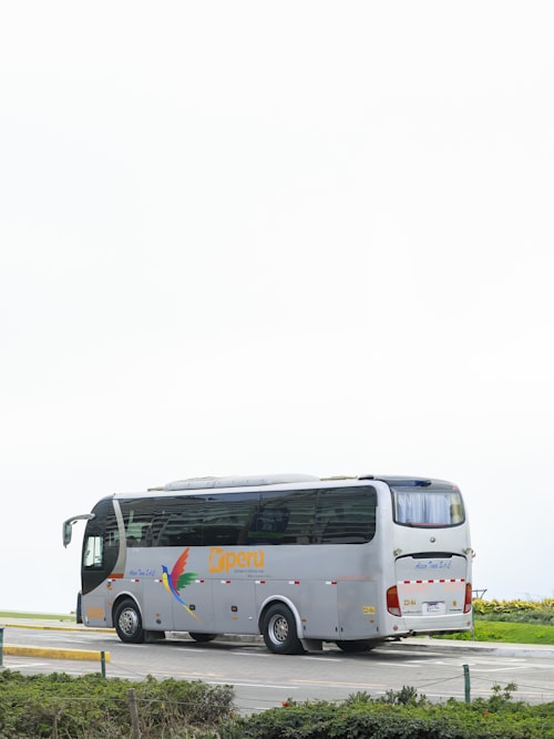 Buses