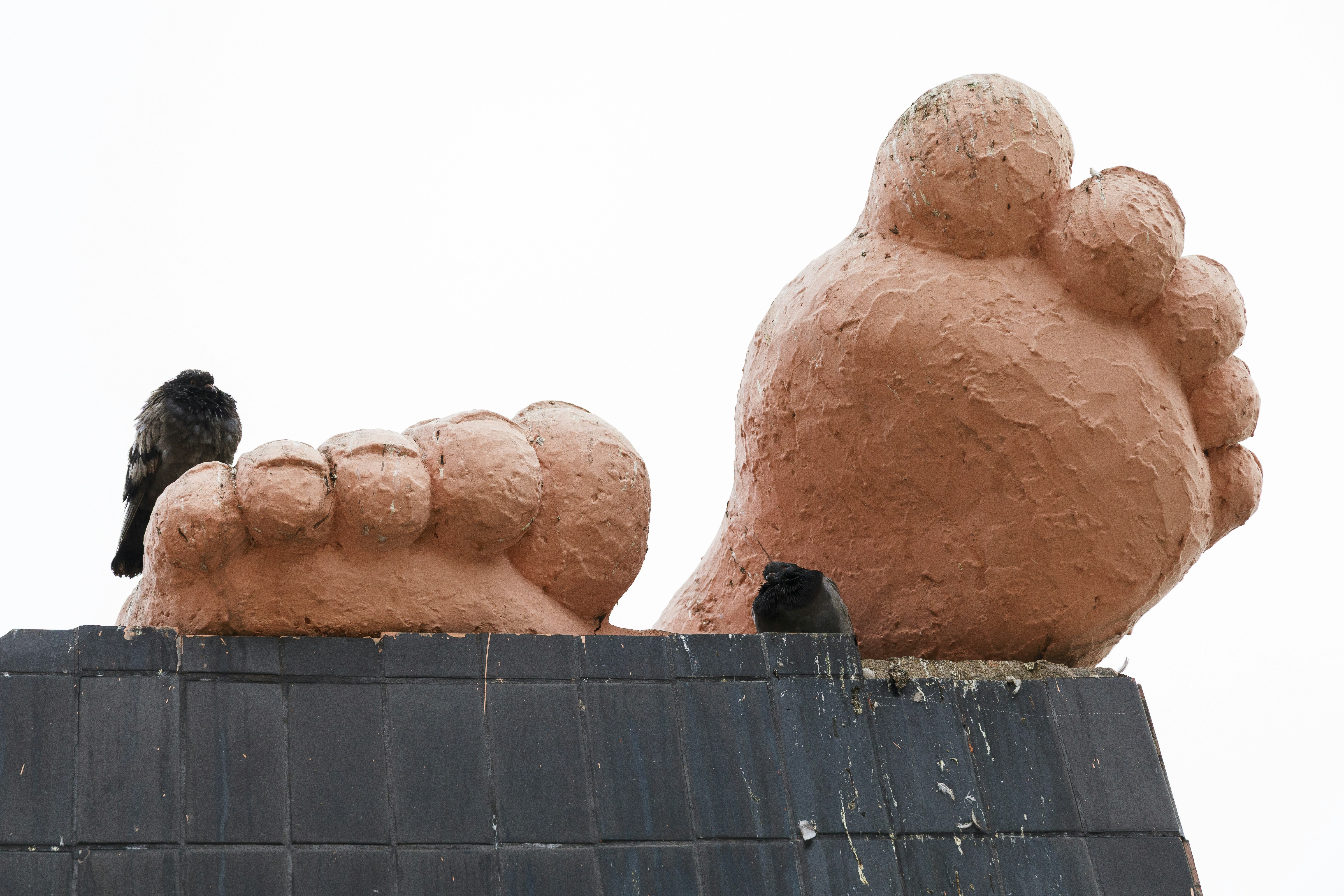 A bird rests on a giant concrete foot sculpture.