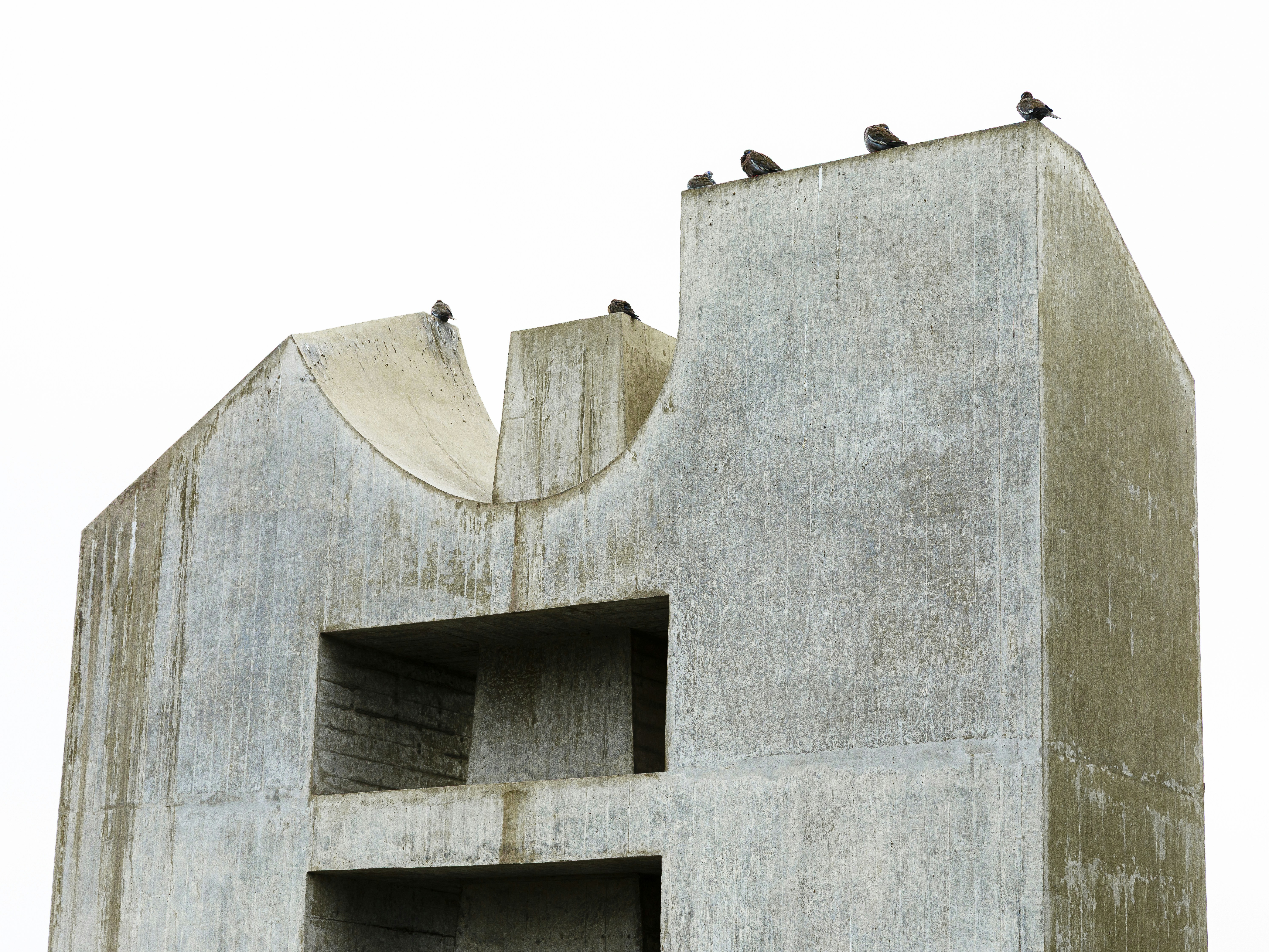 Pigeons perched on a brutalist concrete structure