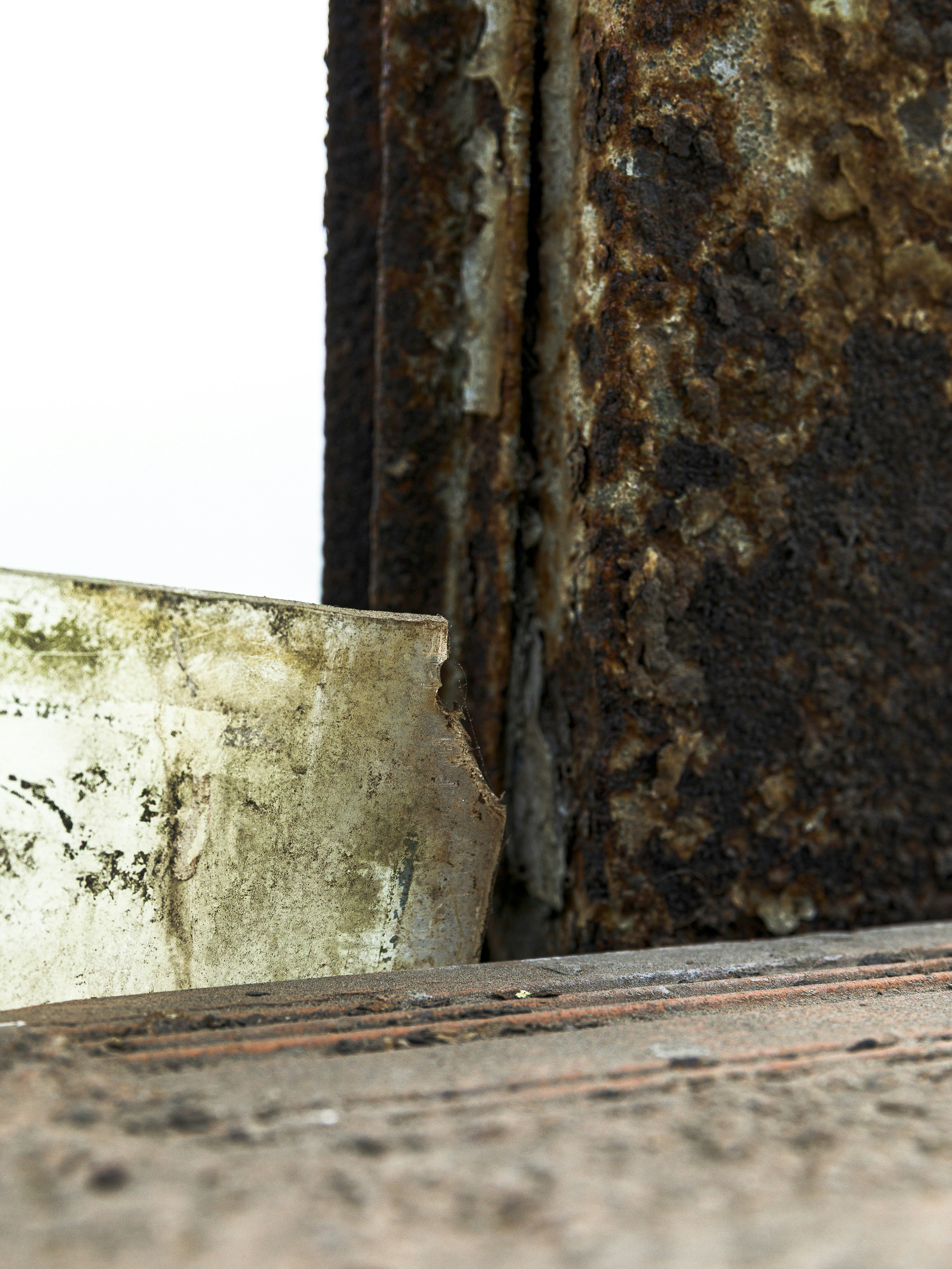 Photo by feliciamontenegro