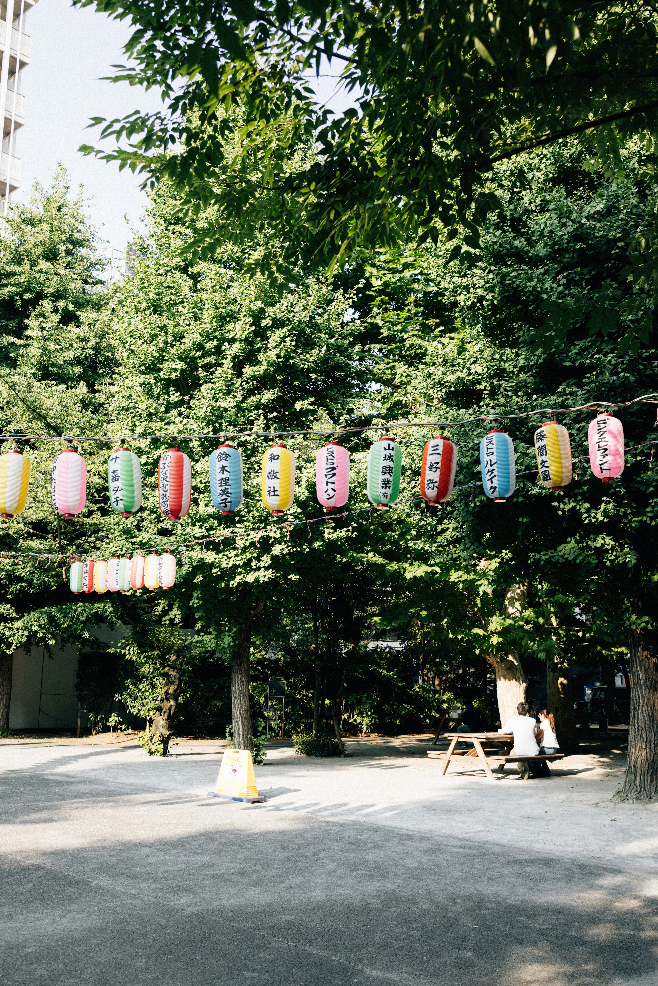 나무 사이의 철사에 매달려 있는 형형색색의 등불.