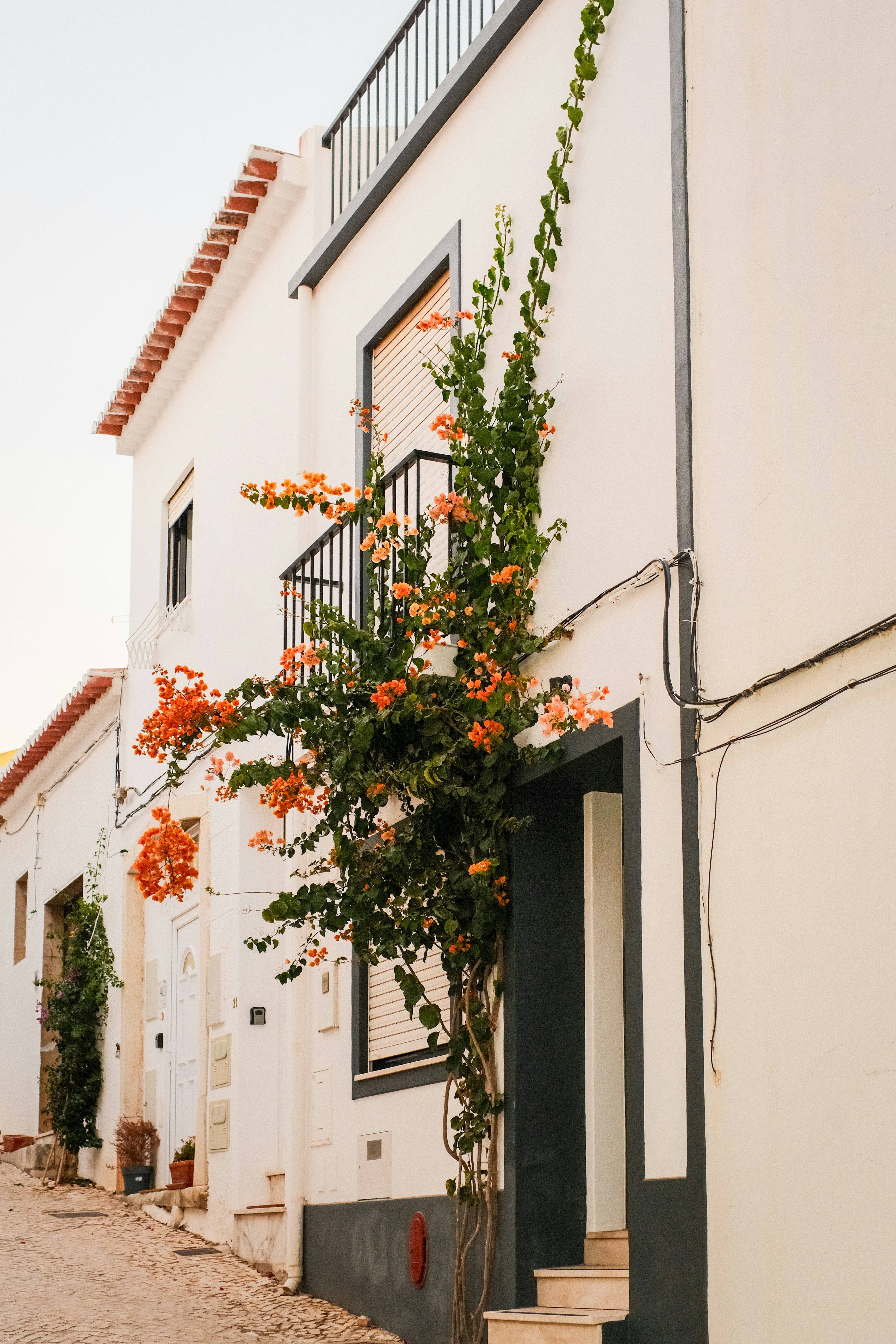 Photo by farnaz________