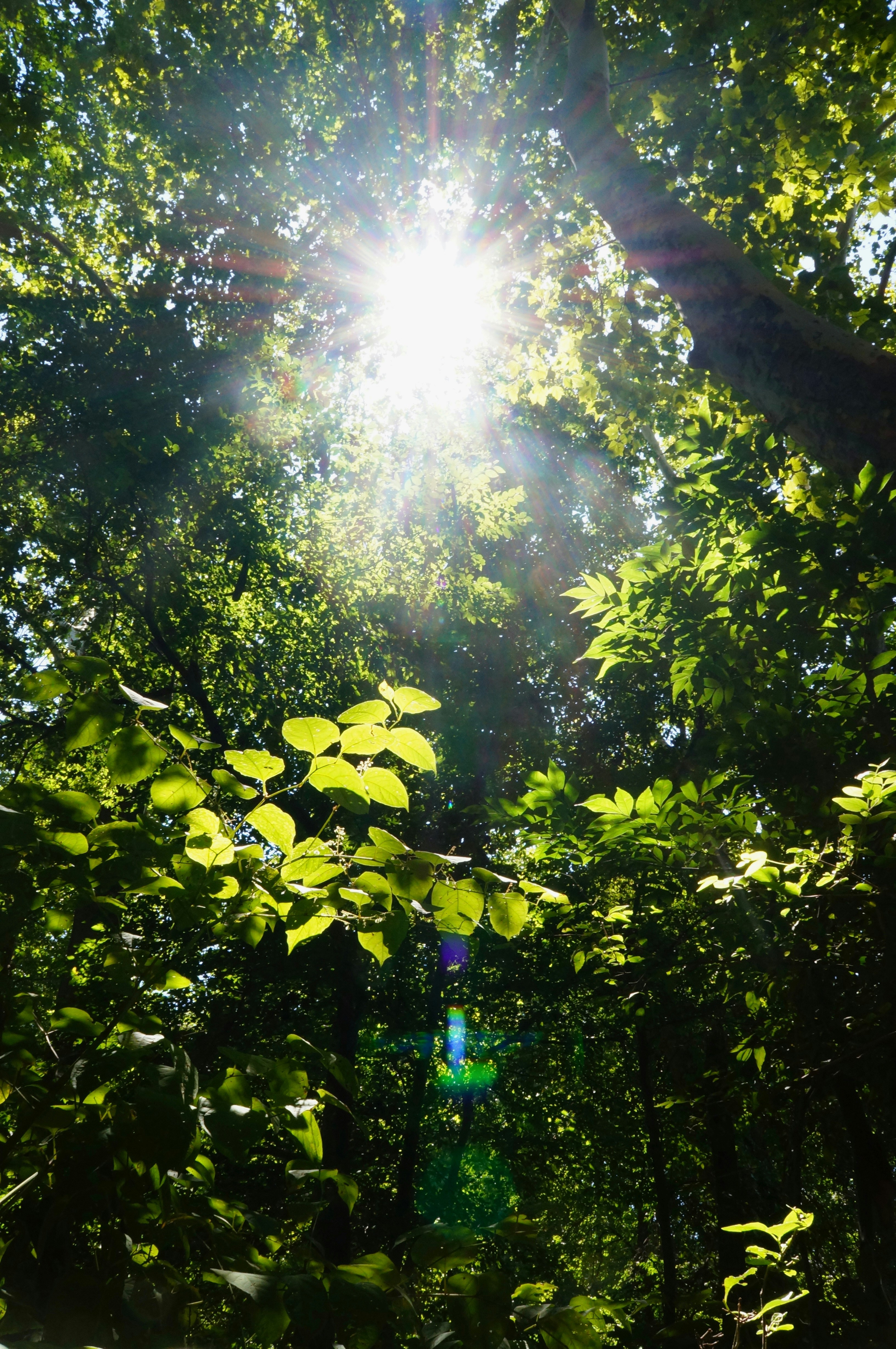 Photo by wadewinslow129