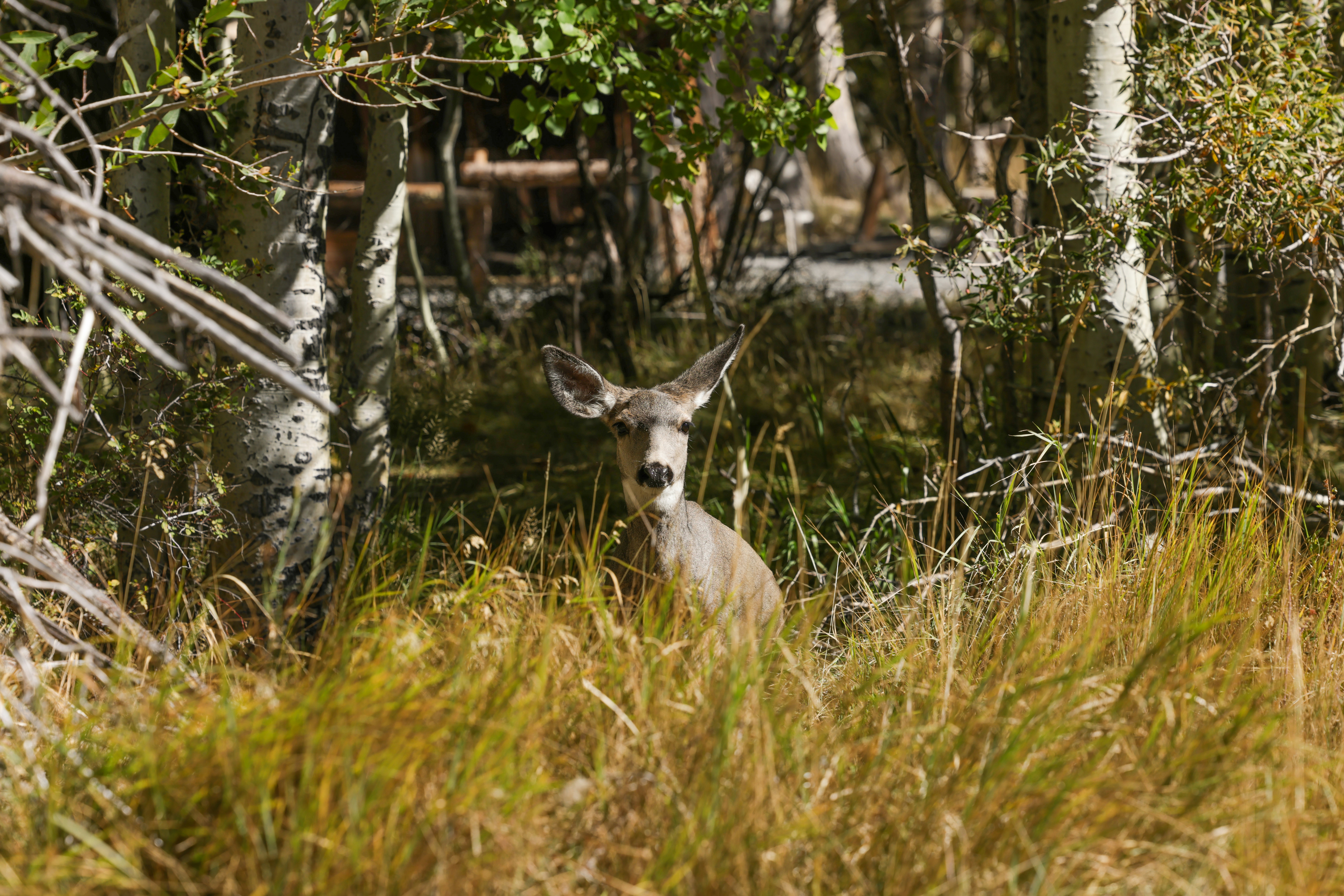 Photo by casunshine0508