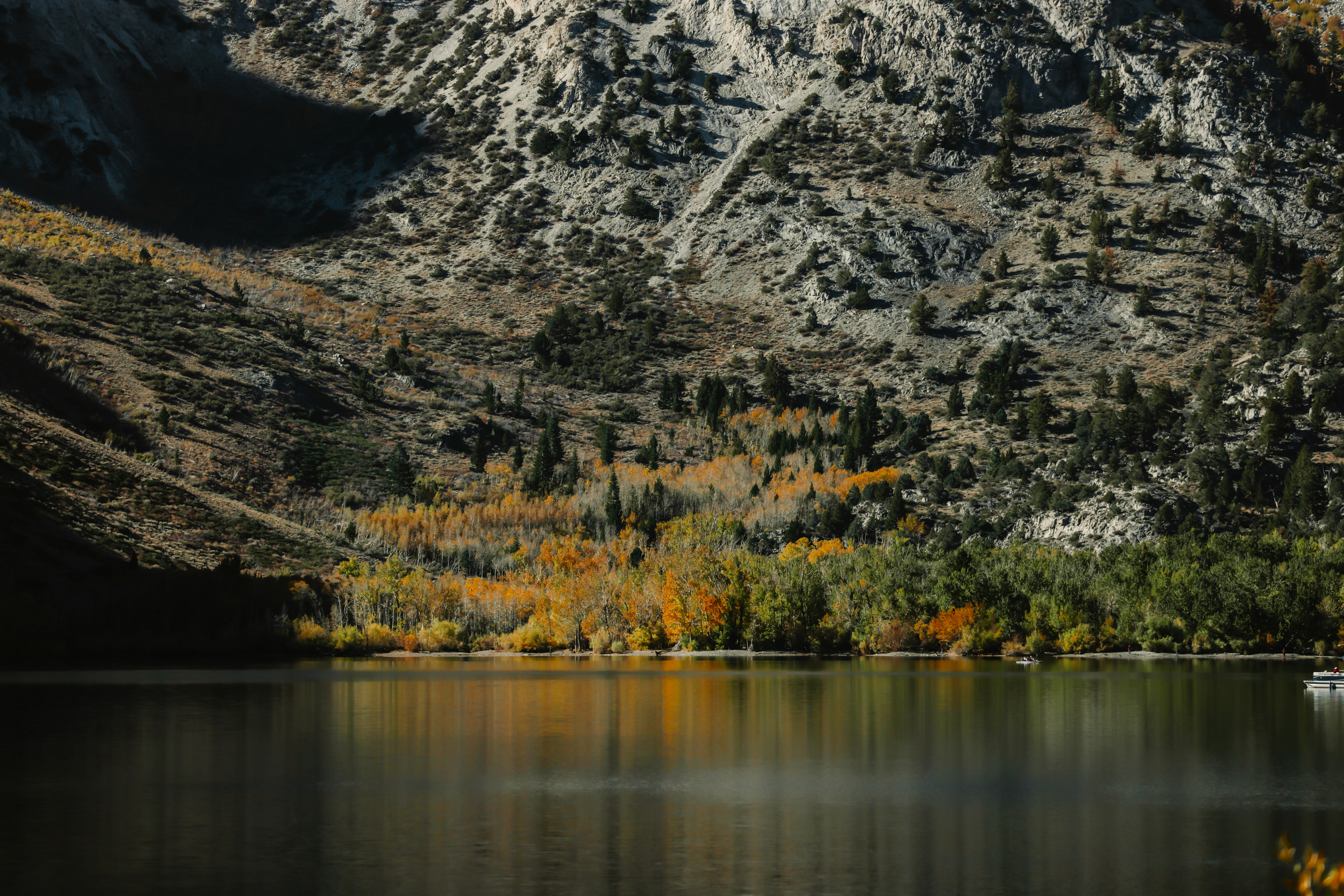 Photo by casunshine0508