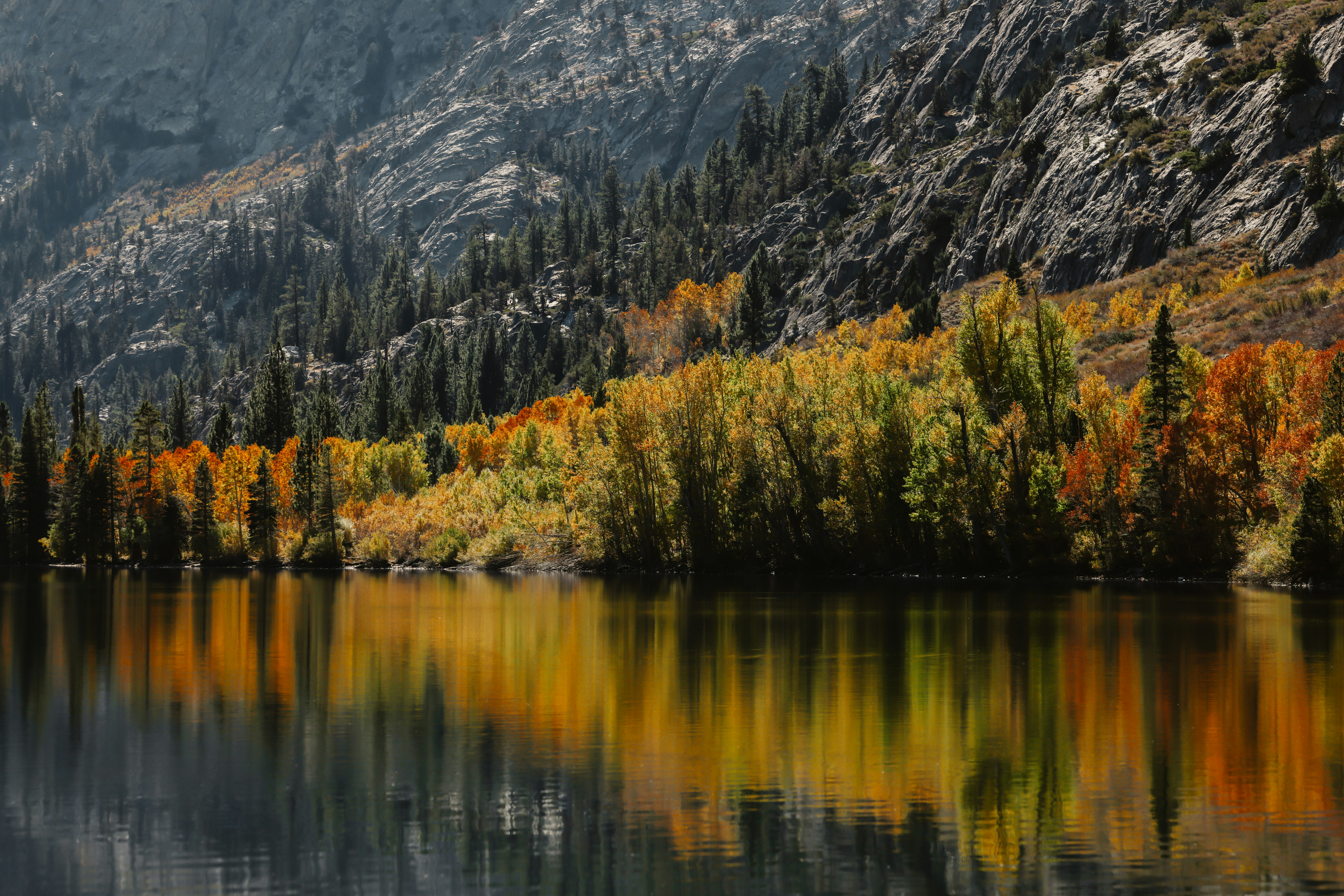 Photo by casunshine0508