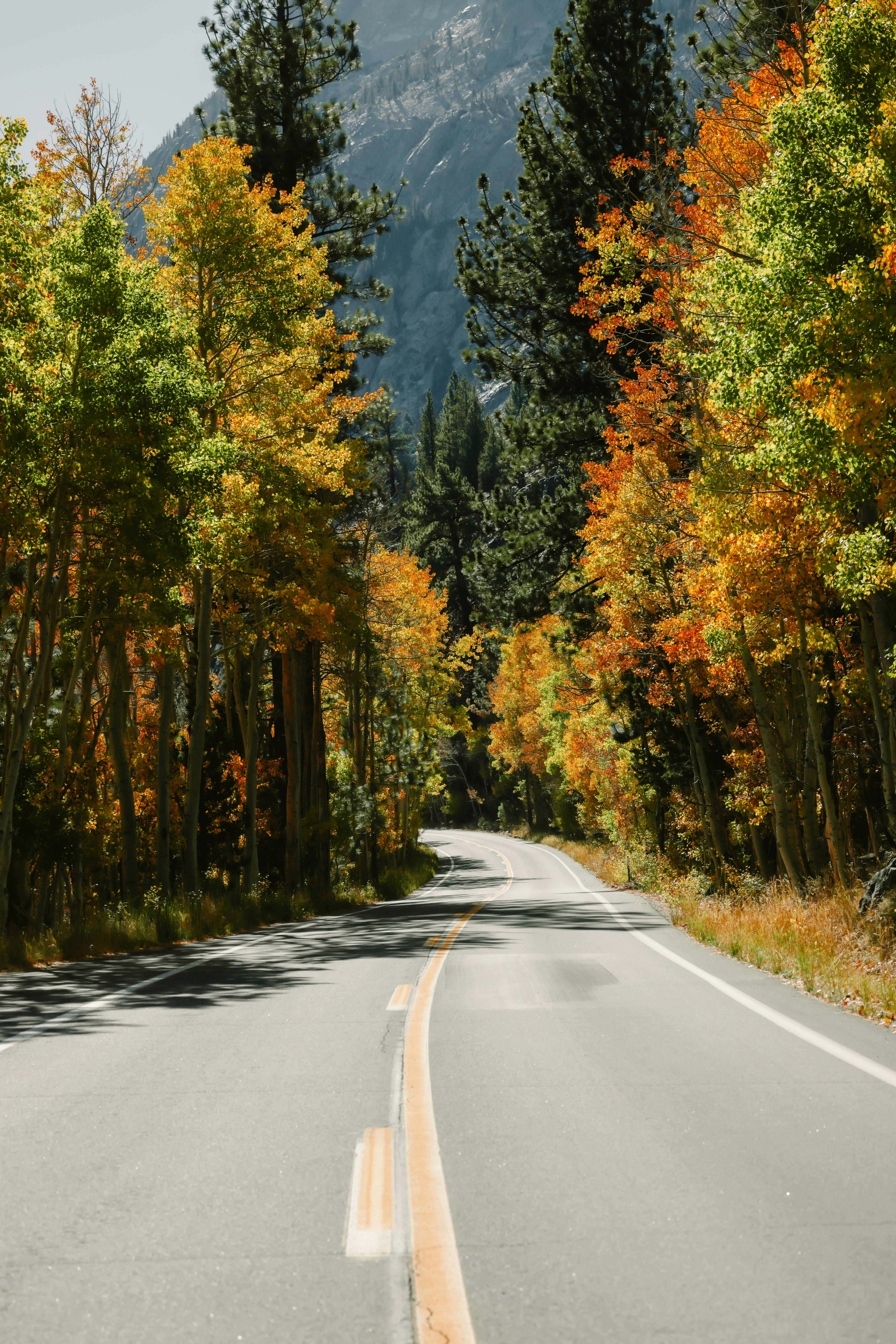 Photo by casunshine0508