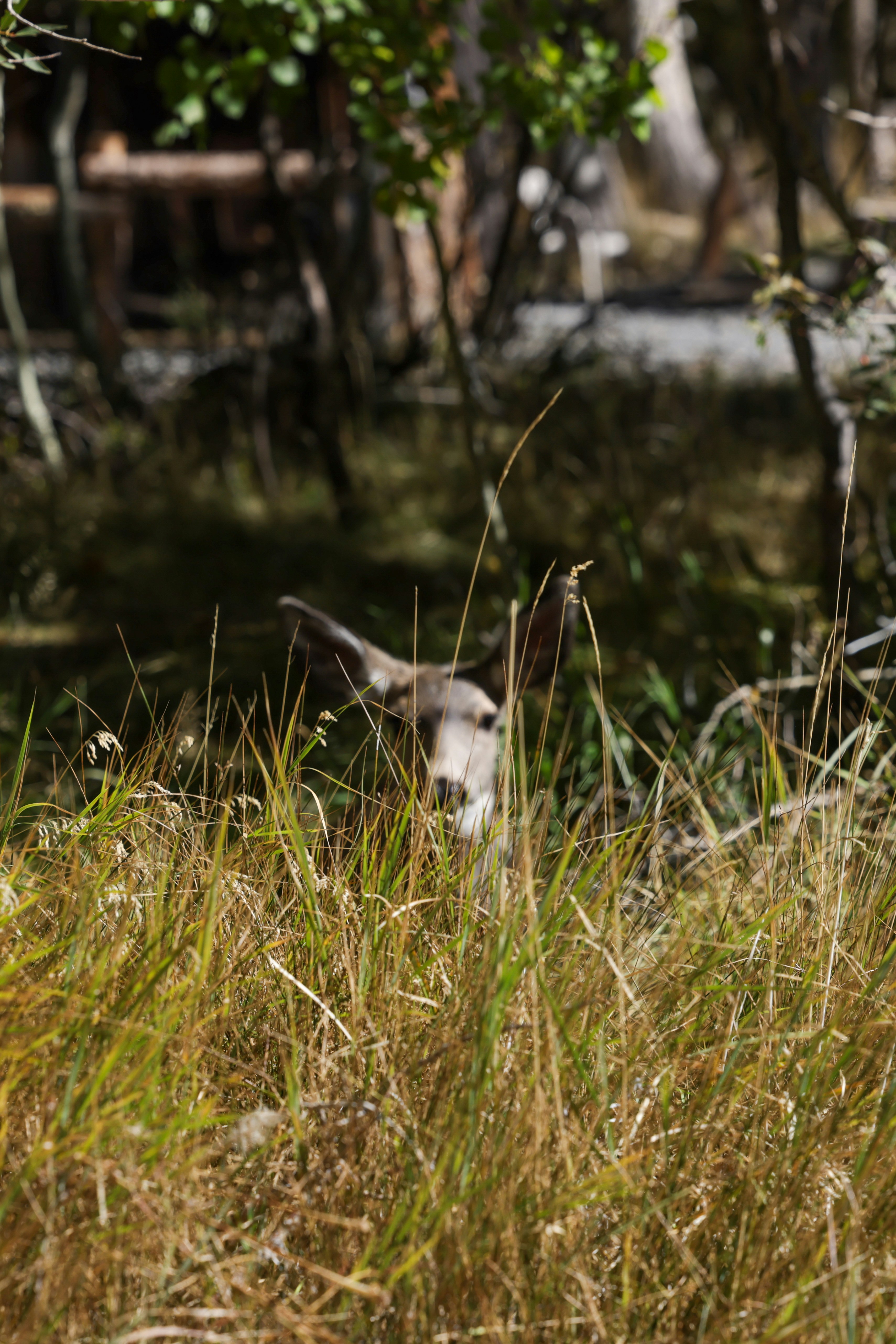 Photo by casunshine0508