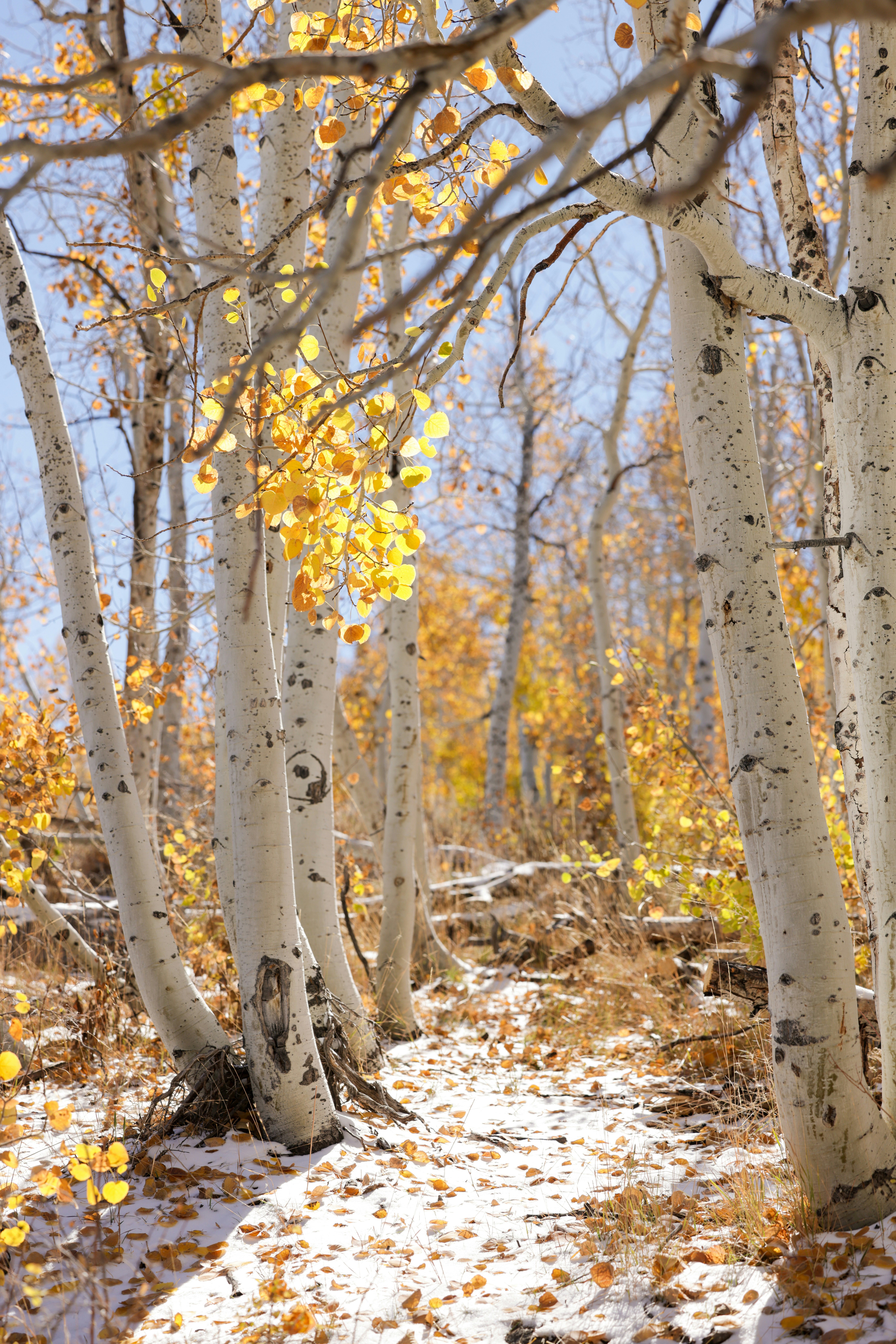 Photo by casunshine0508