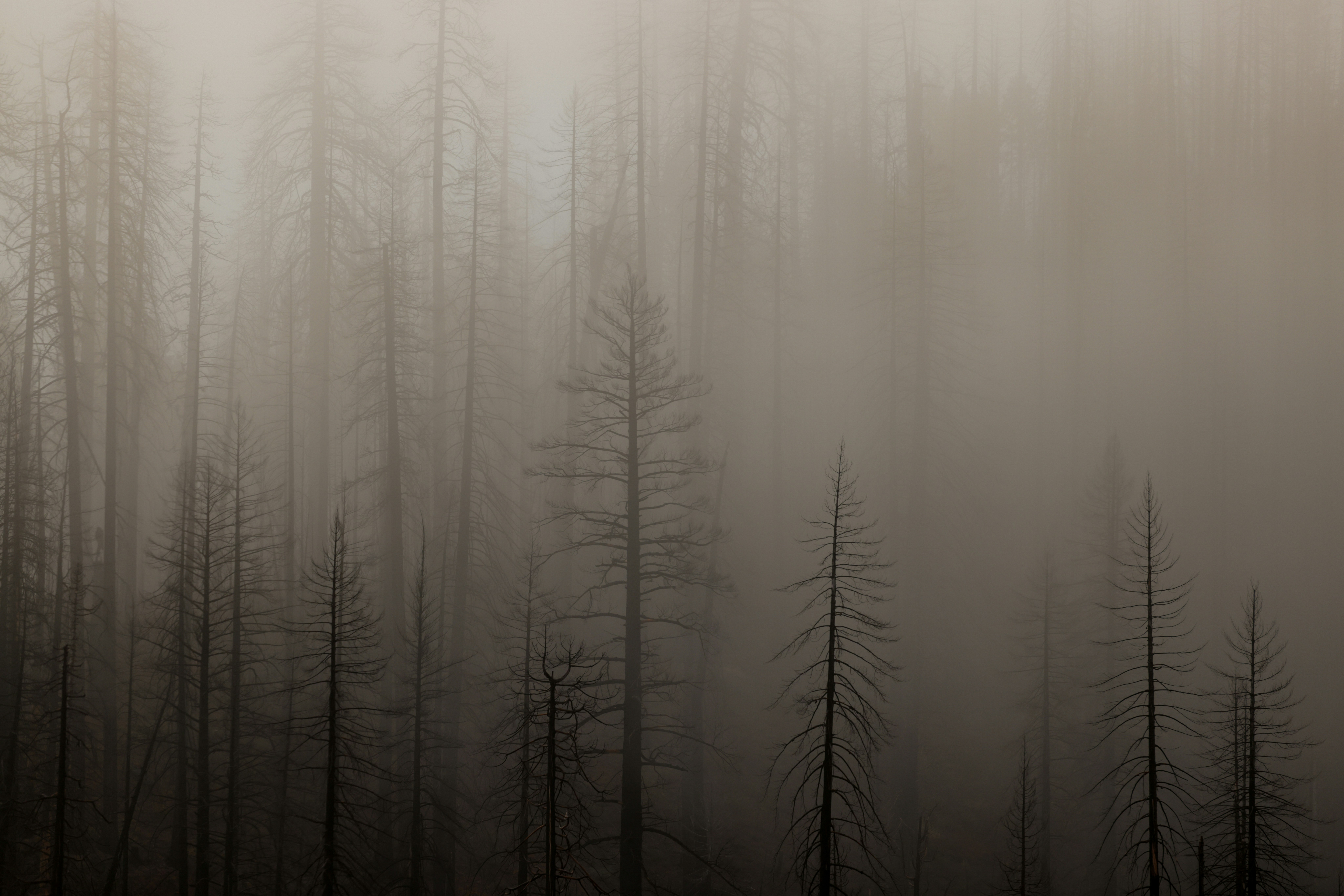 LASIK Vs. PRK: Which Sort Of Laser Eye Surgical Procedure Is Right For You?