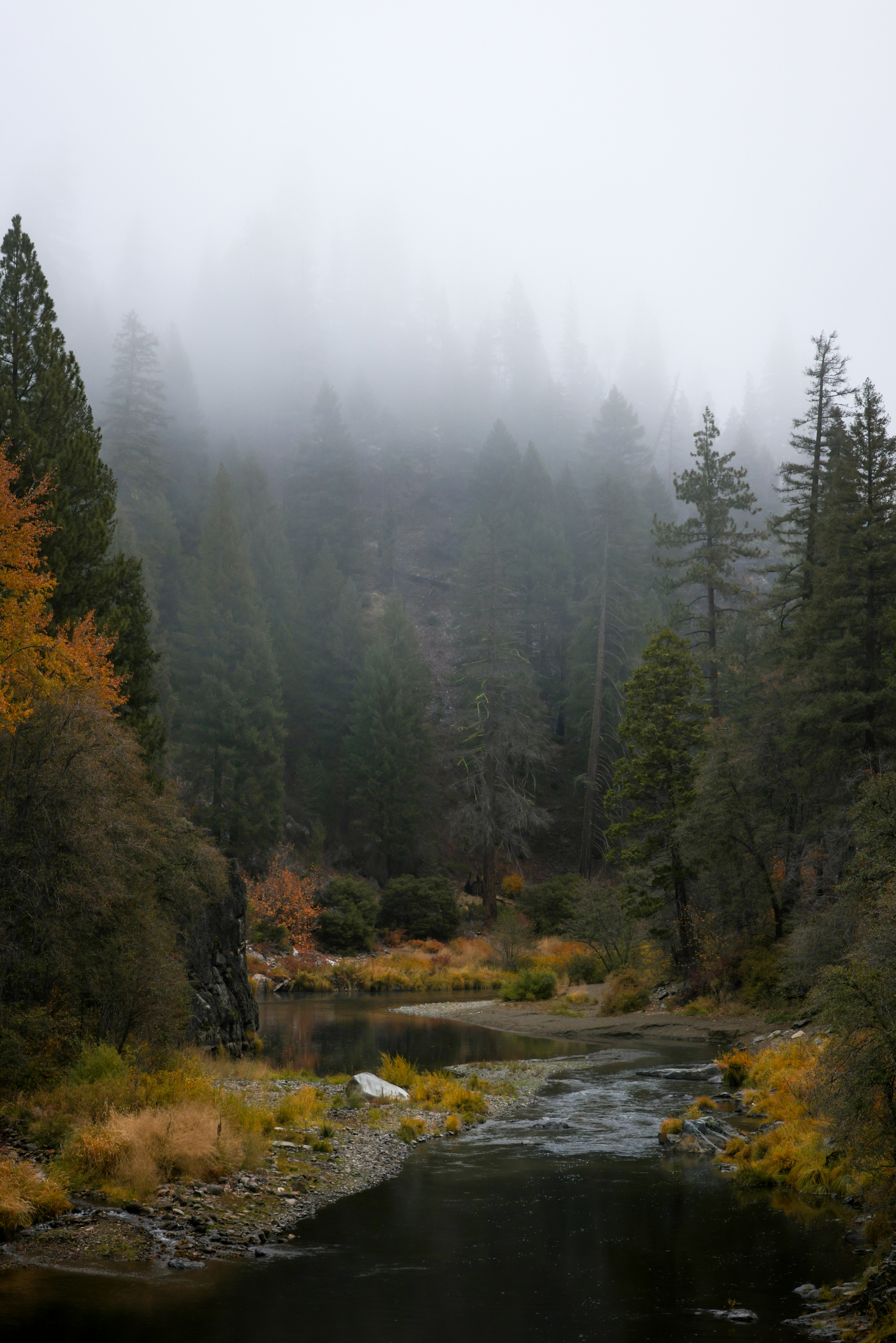 Photo by casunshine0508