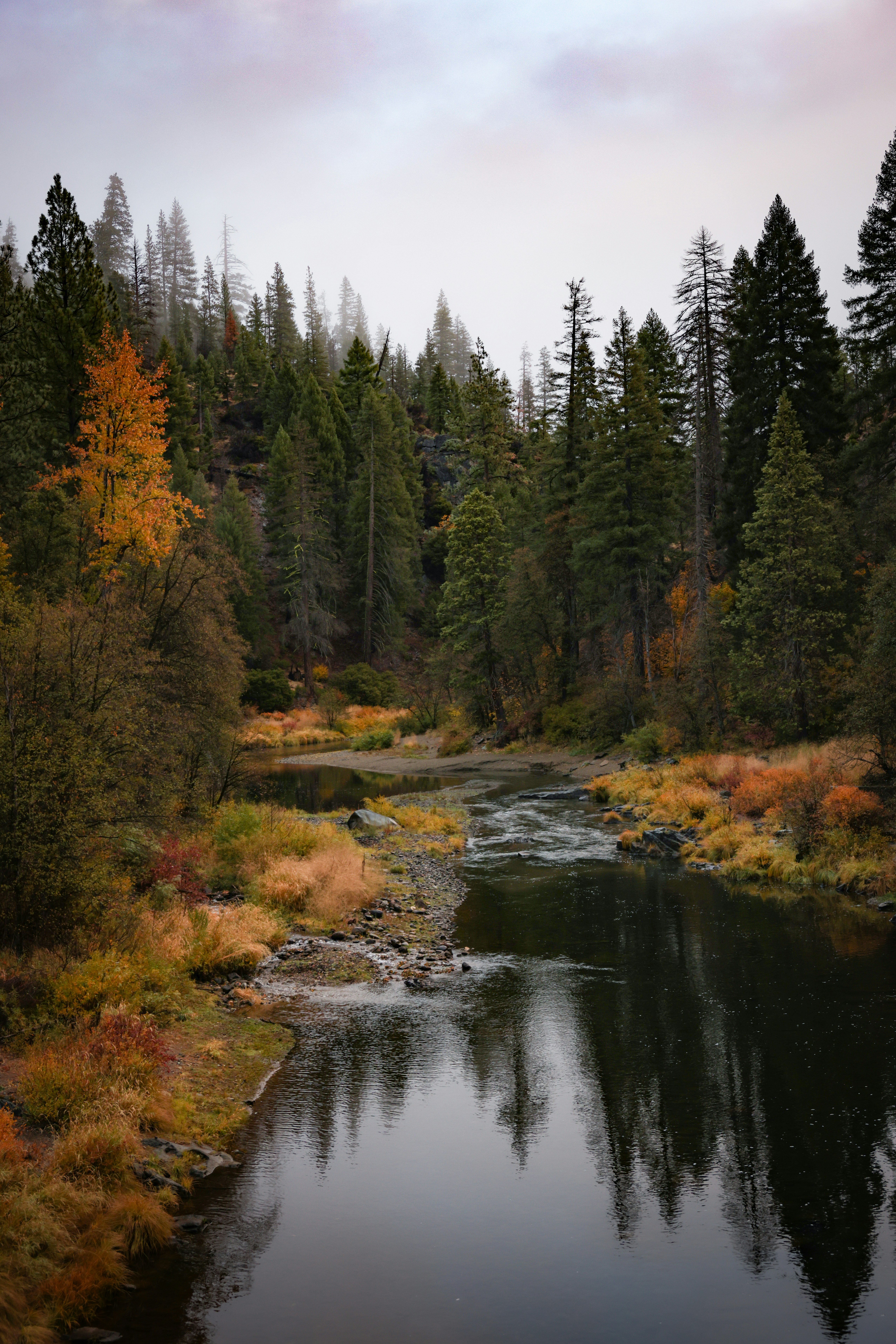 Photo by casunshine0508