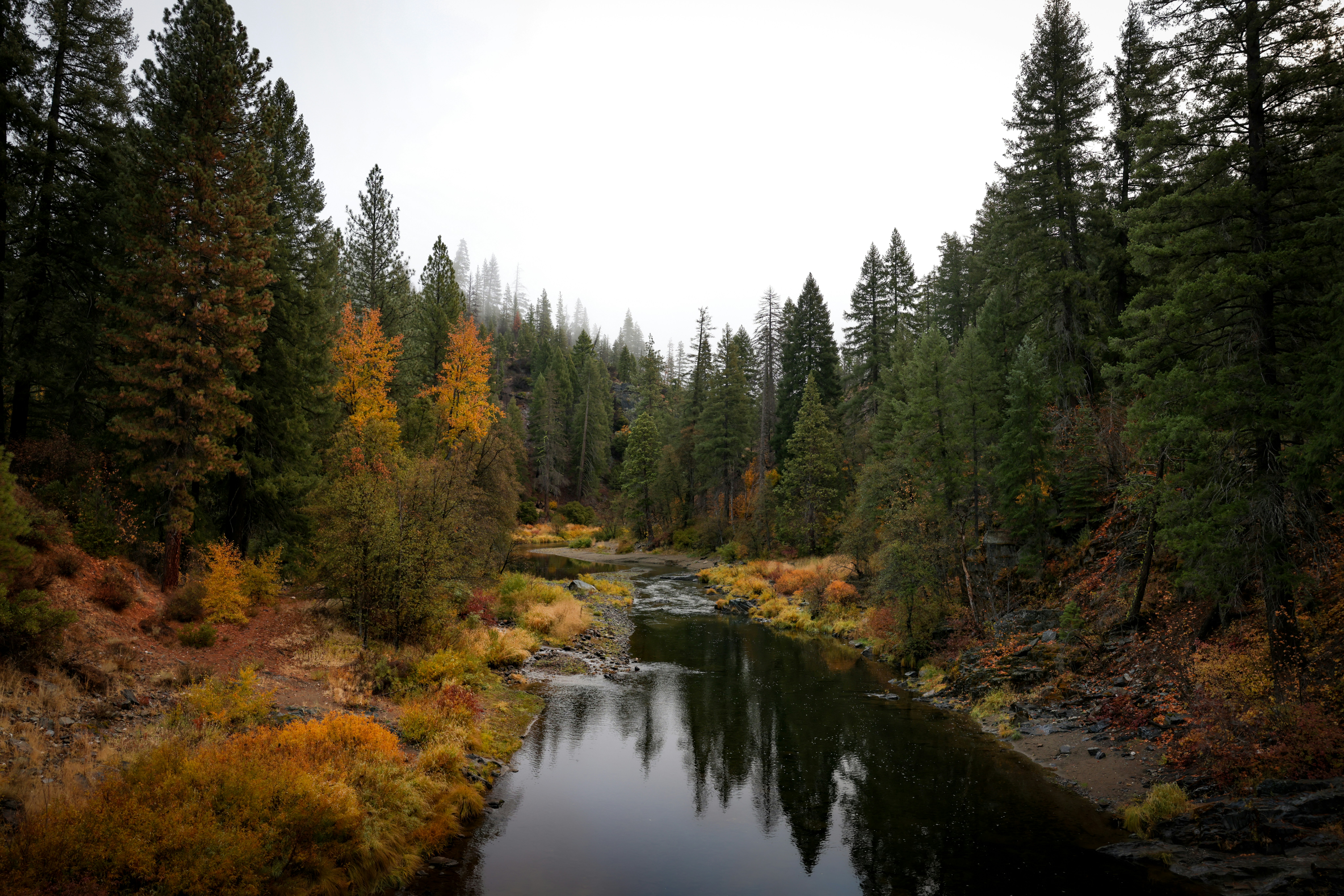 Photo by casunshine0508