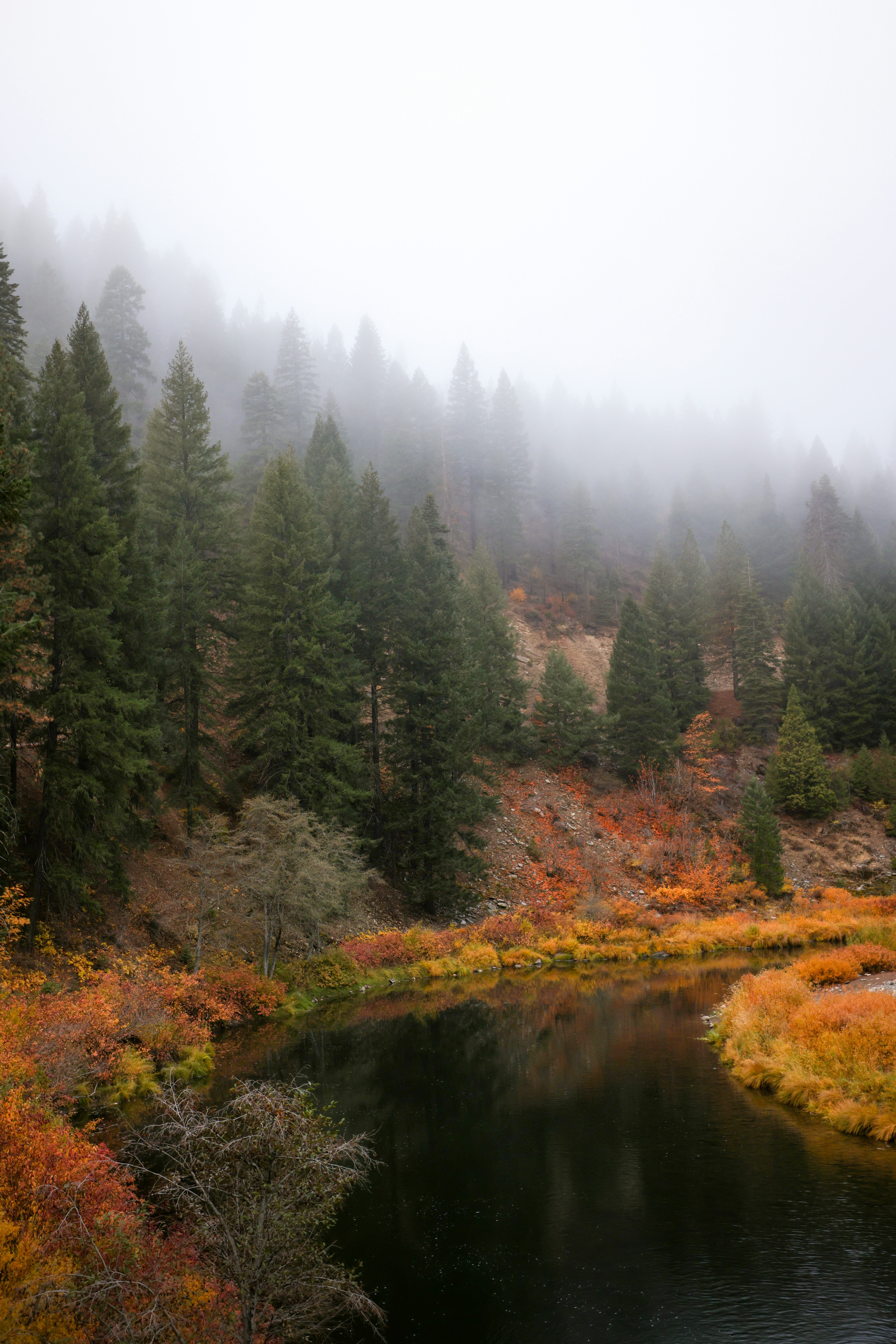 Photo by casunshine0508