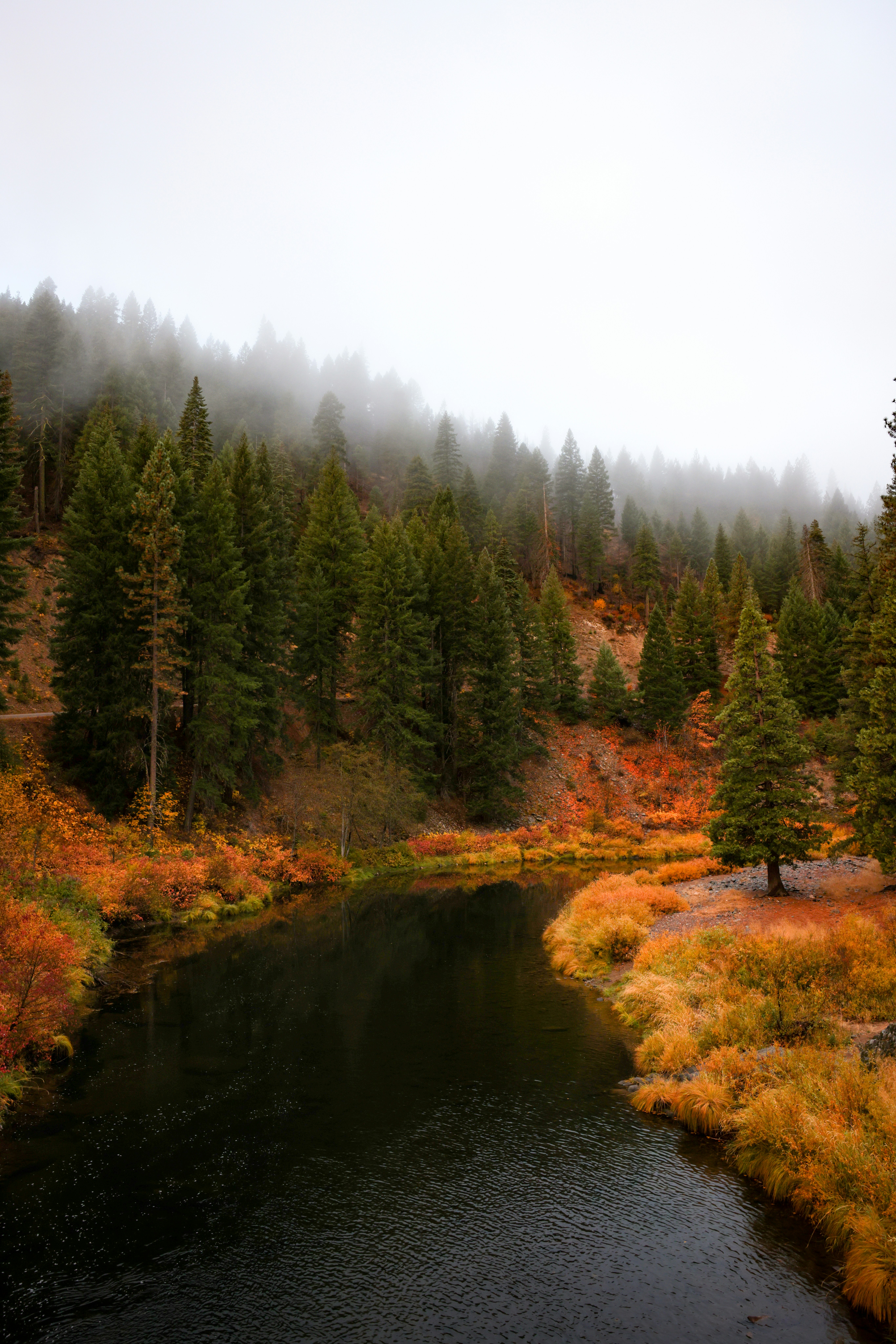 Photo by casunshine0508