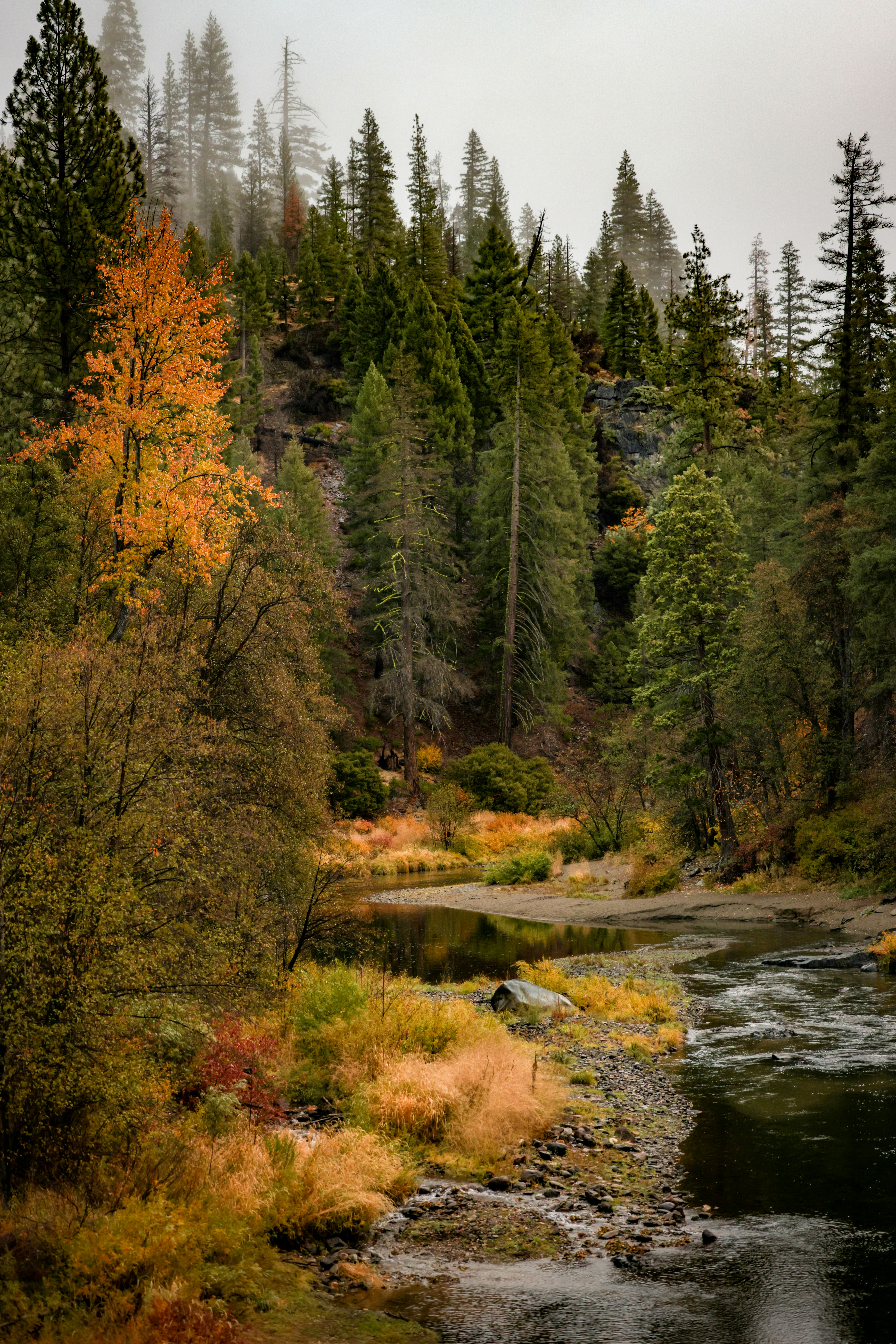 Photo by casunshine0508