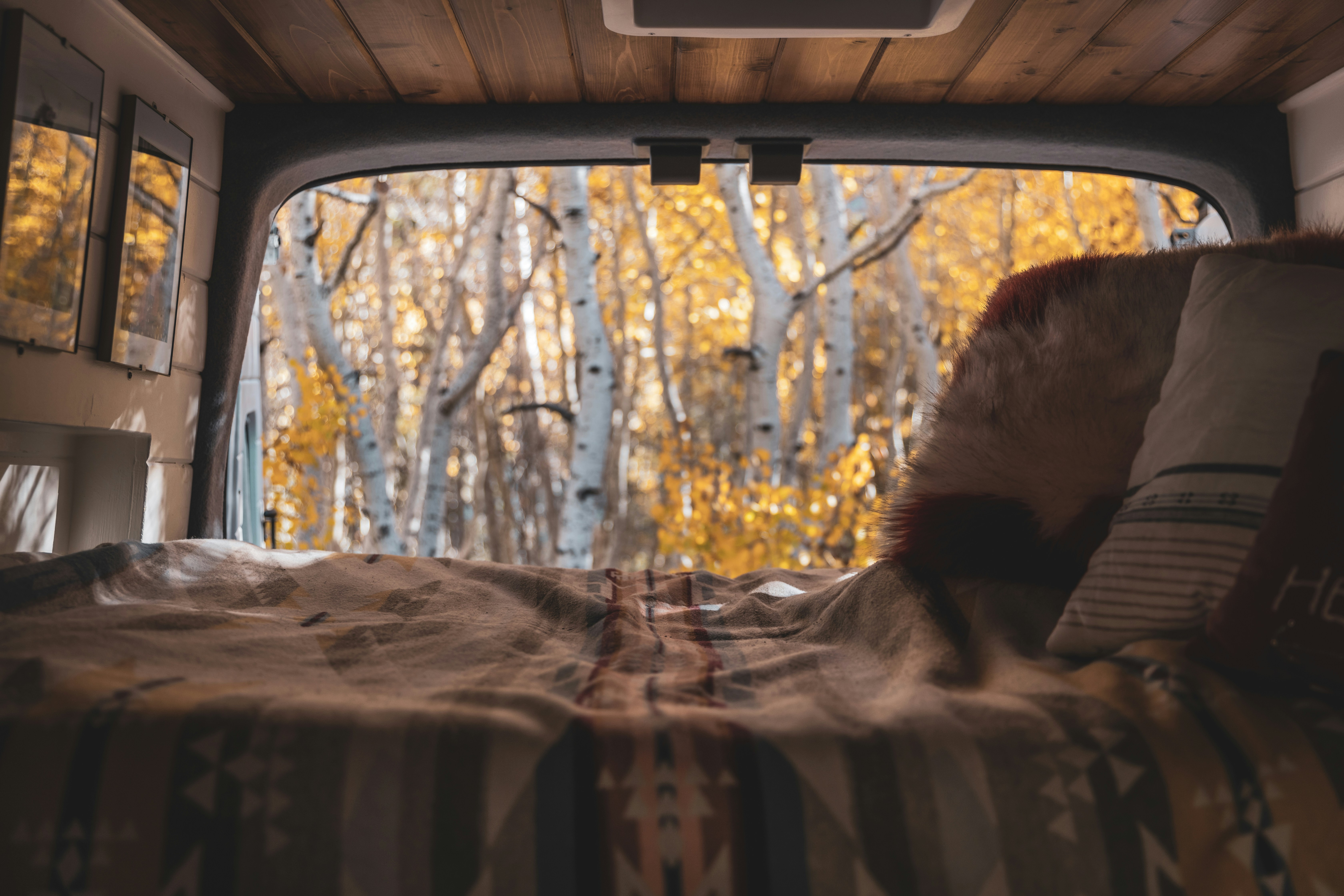 Photo by casunshine0508