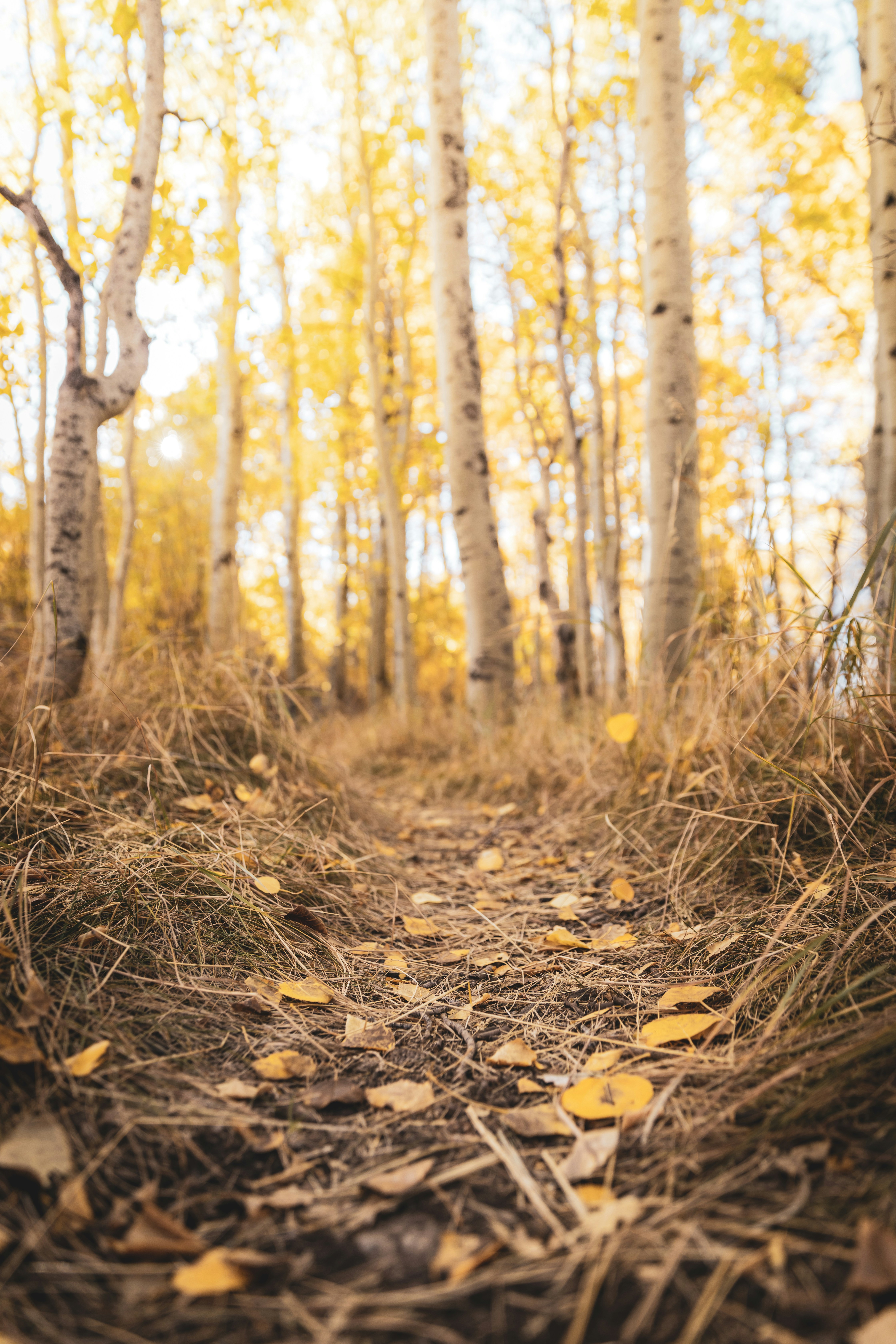 Photo by casunshine0508