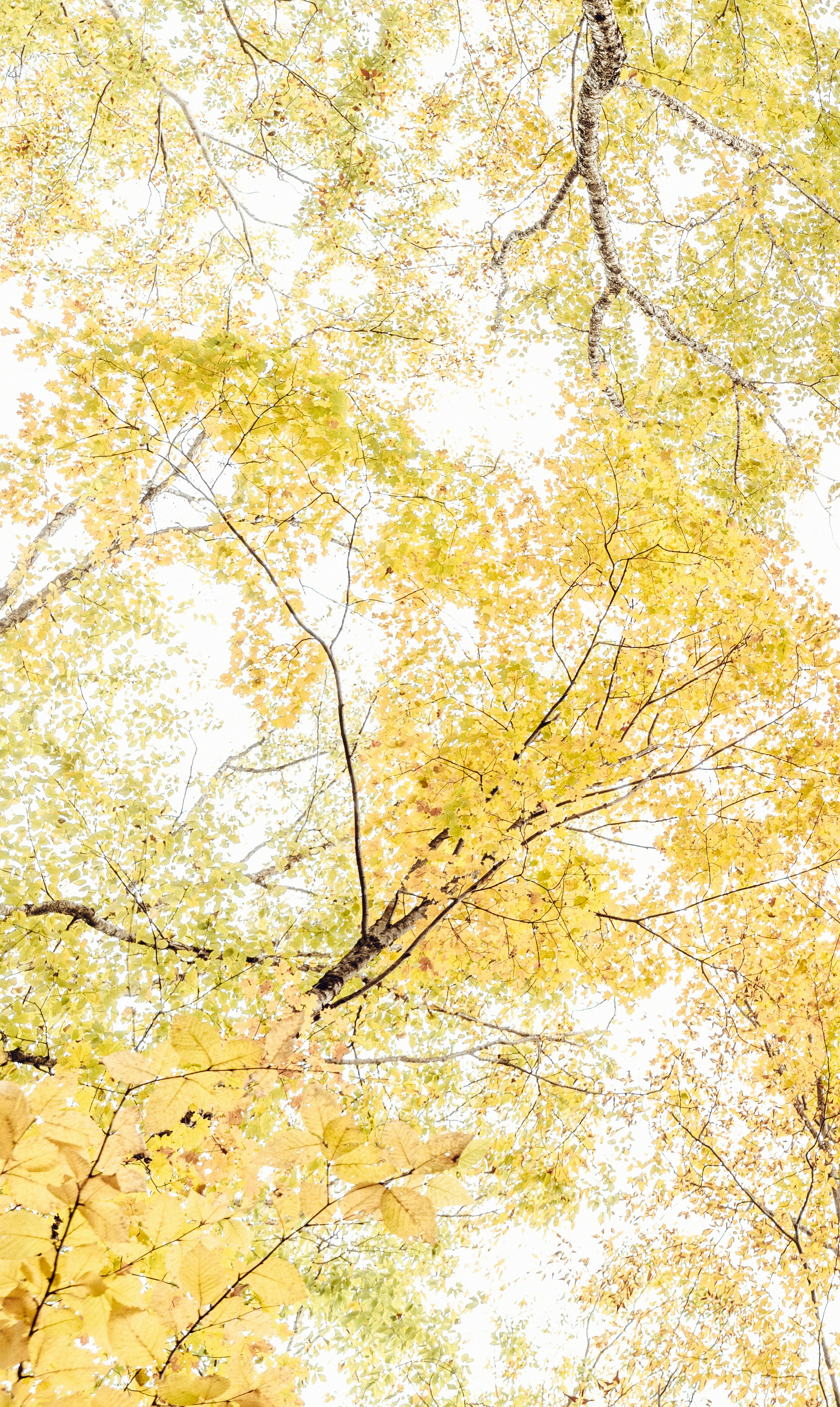 Photo by casunshine0508