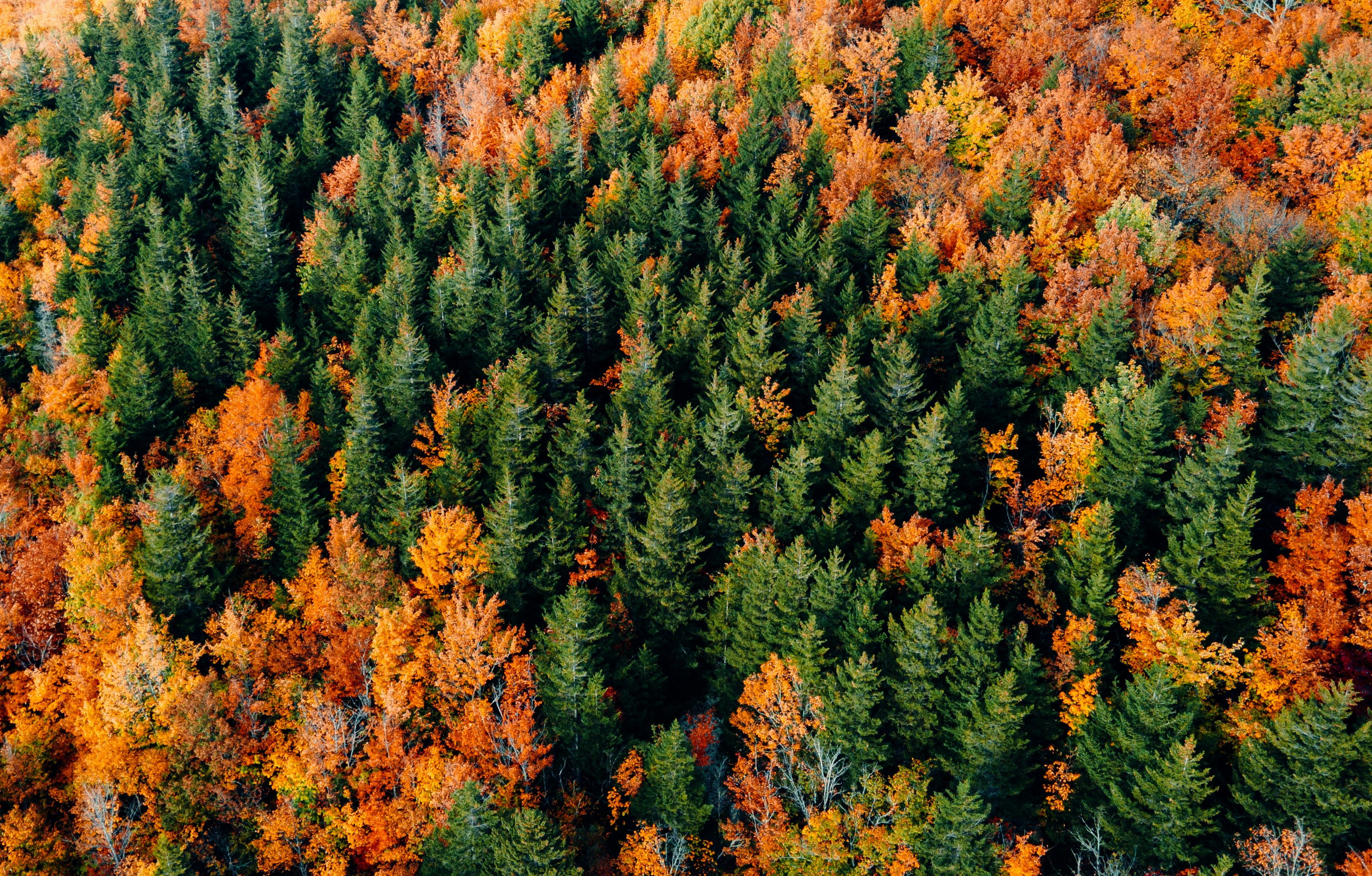 Photo by casunshine0508