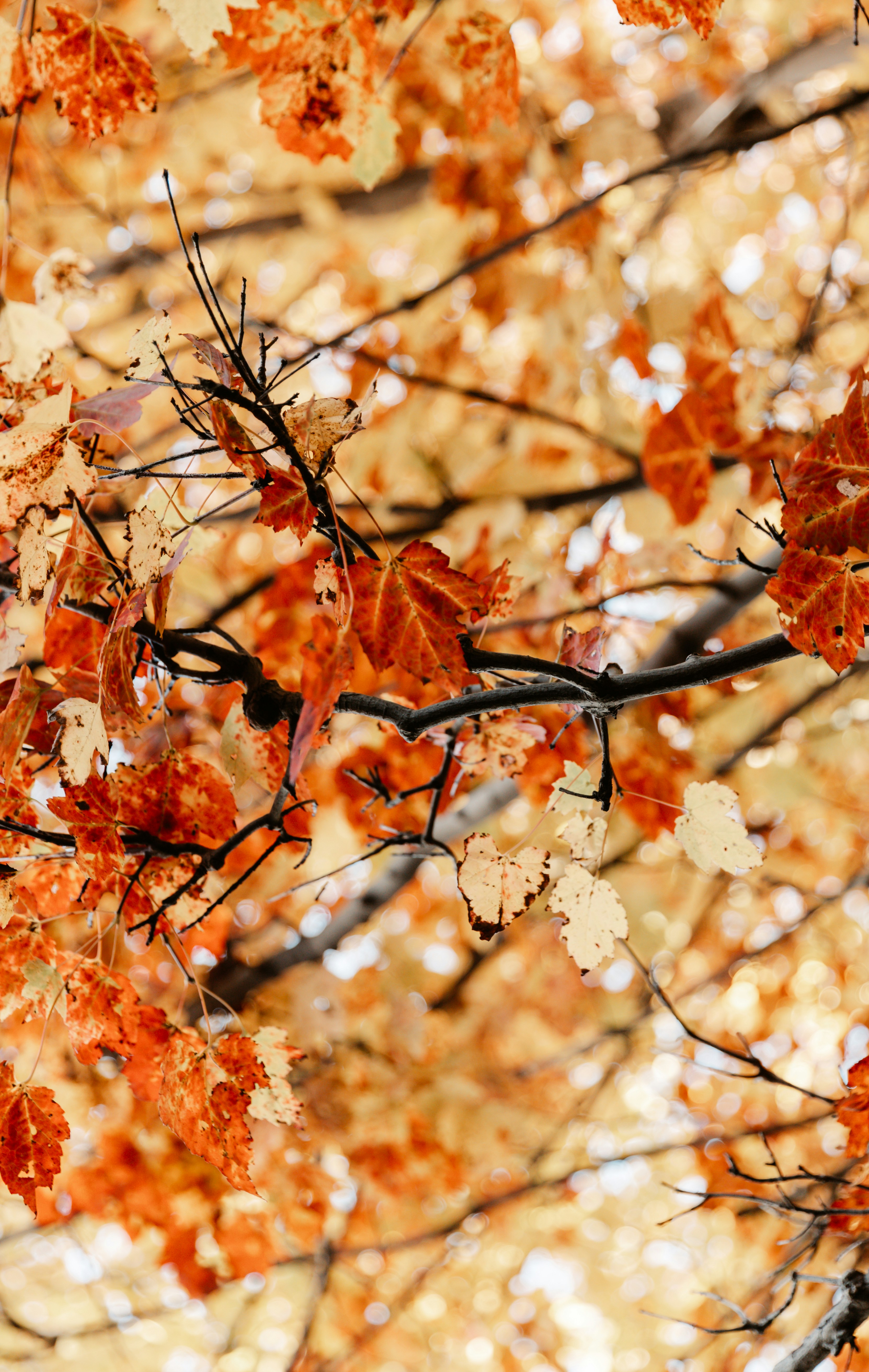 Photo by casunshine0508