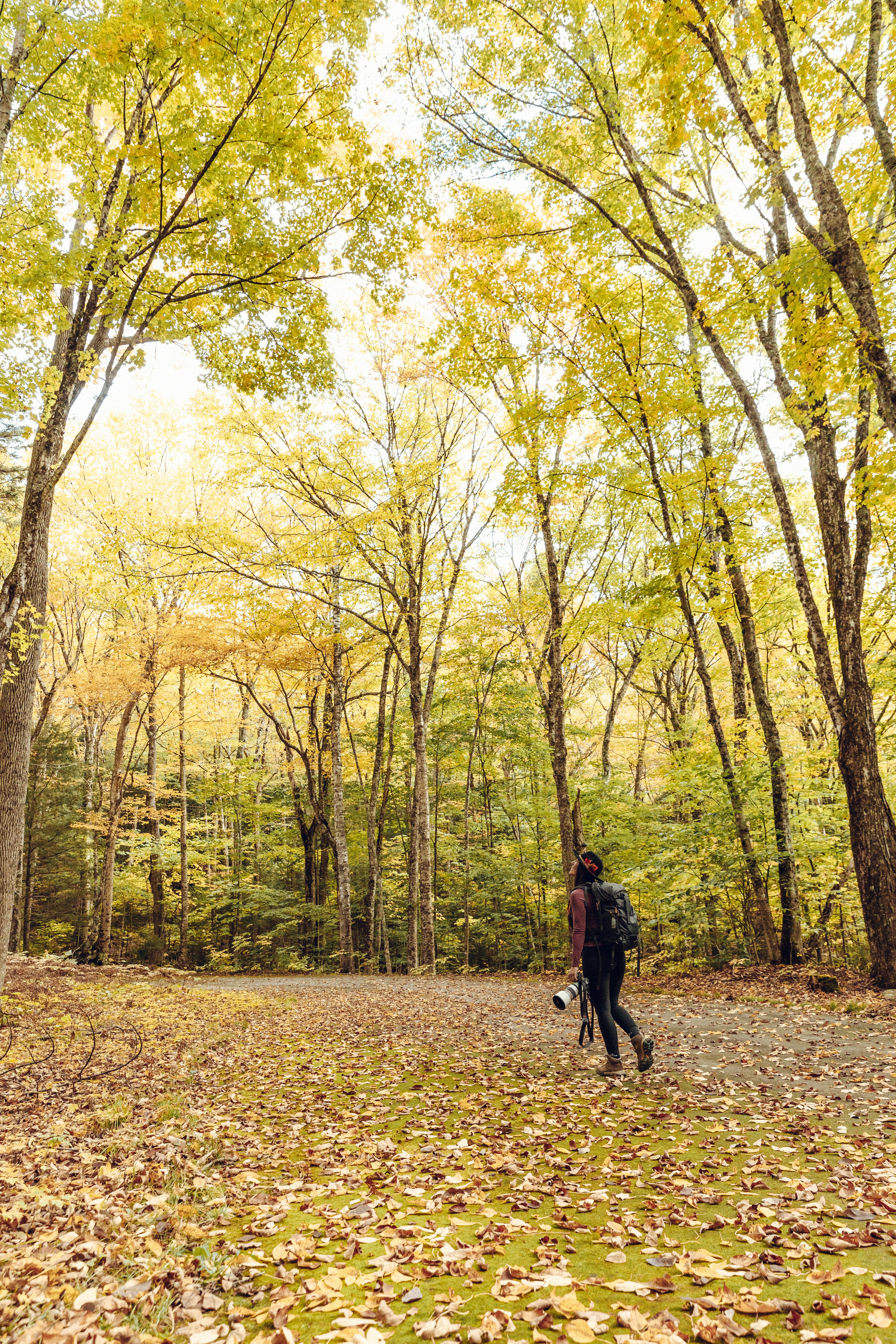 Photo by casunshine0508