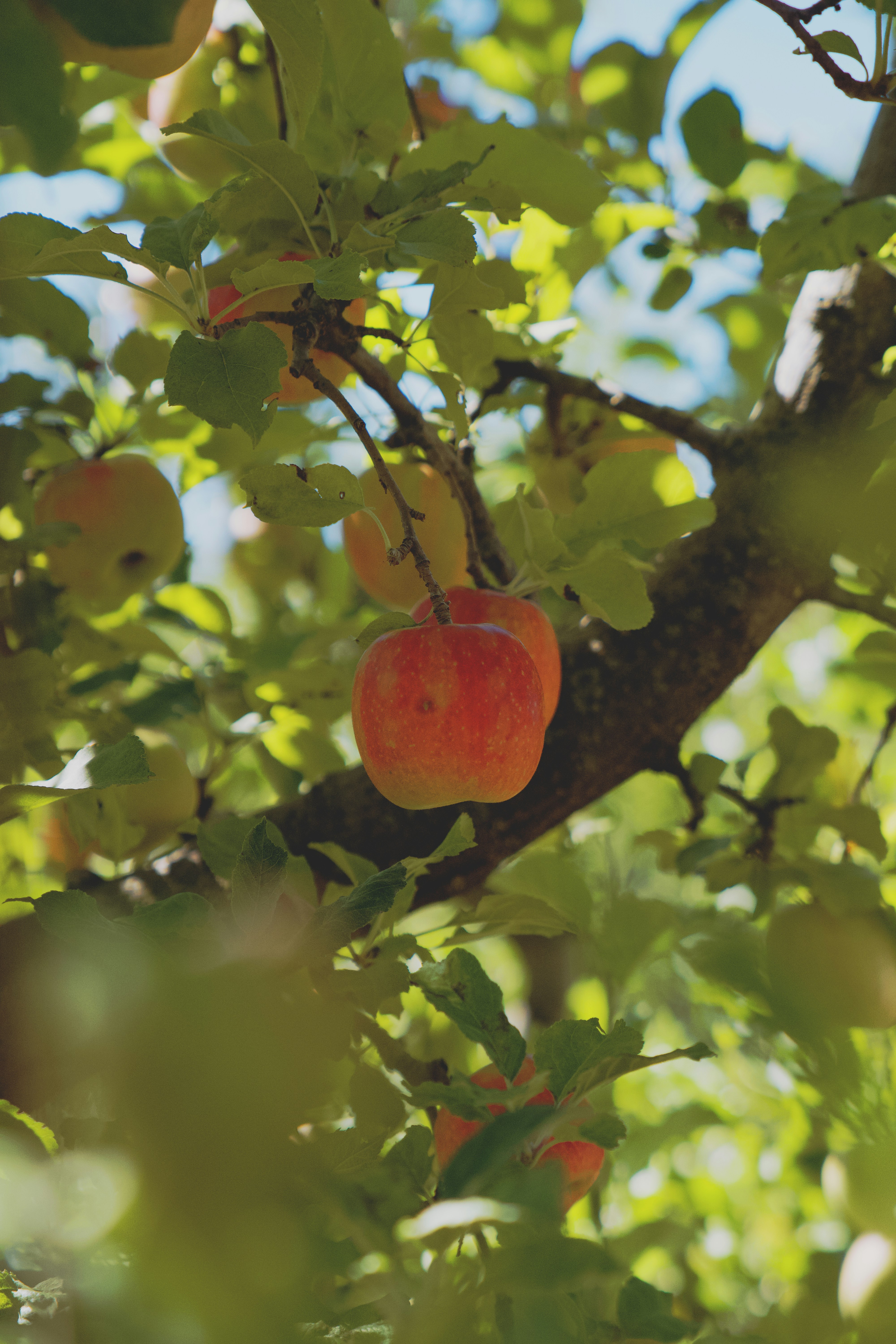 Photo by spencer_demera