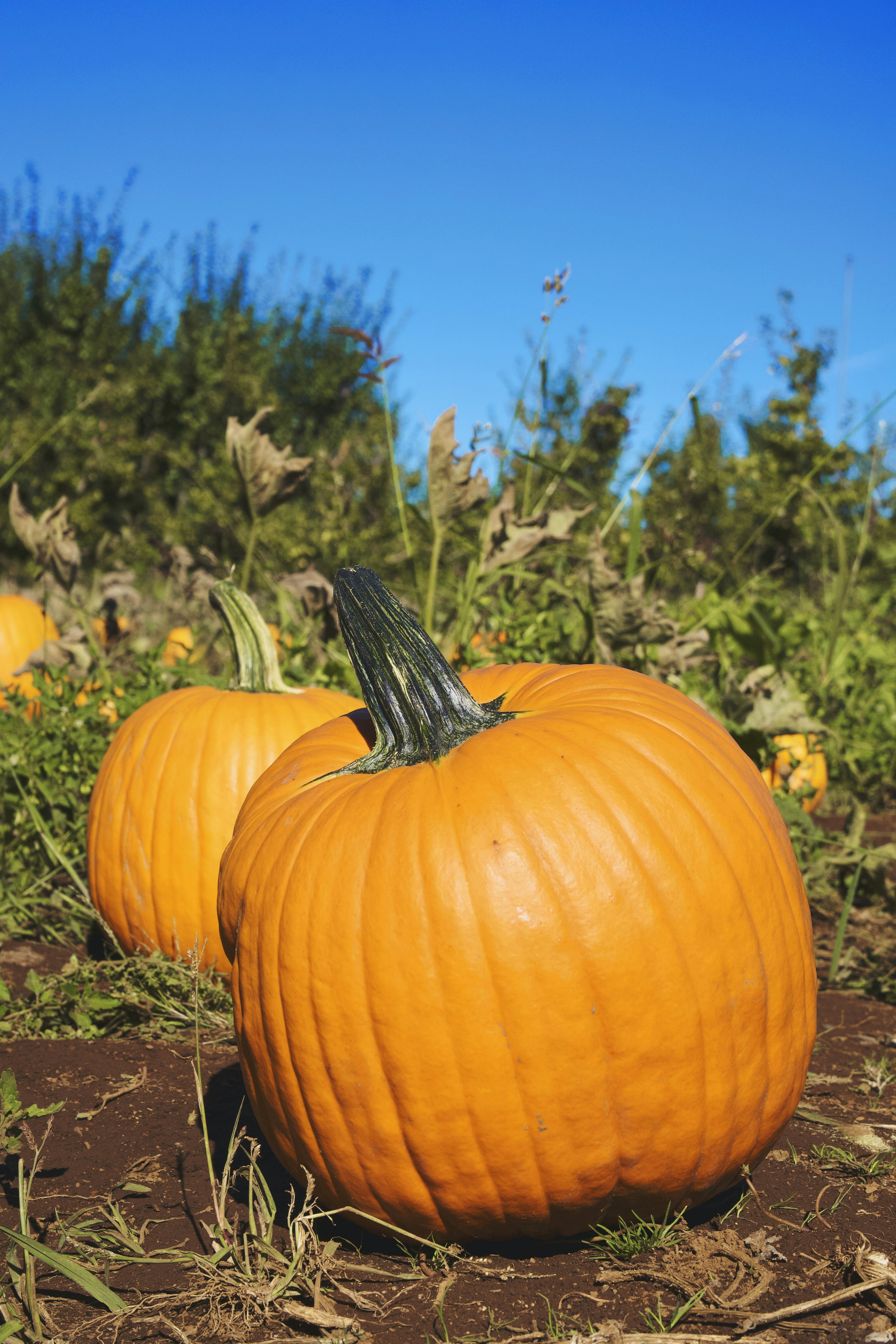 Photo by spencer_demera