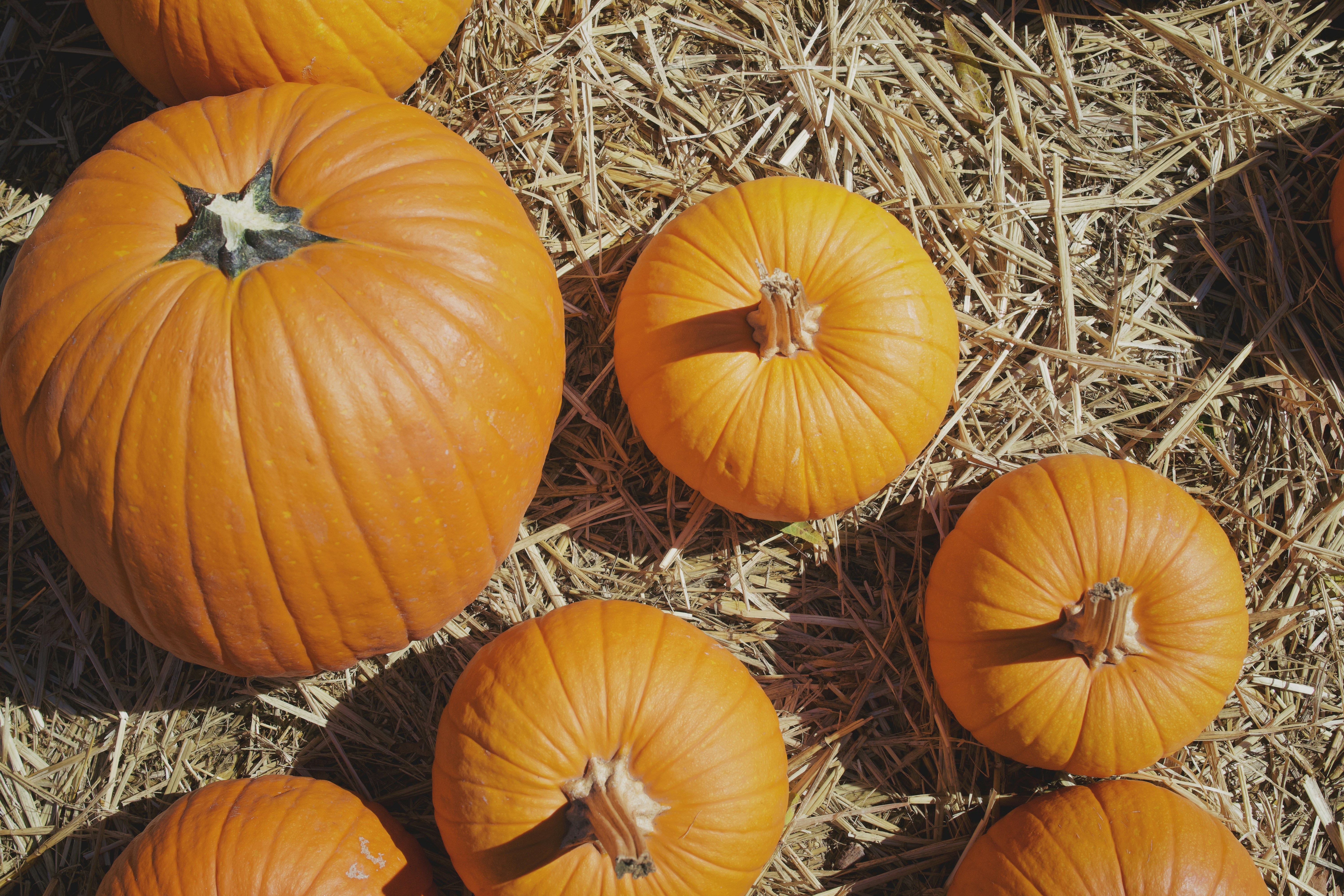 Photo by spencer_demera