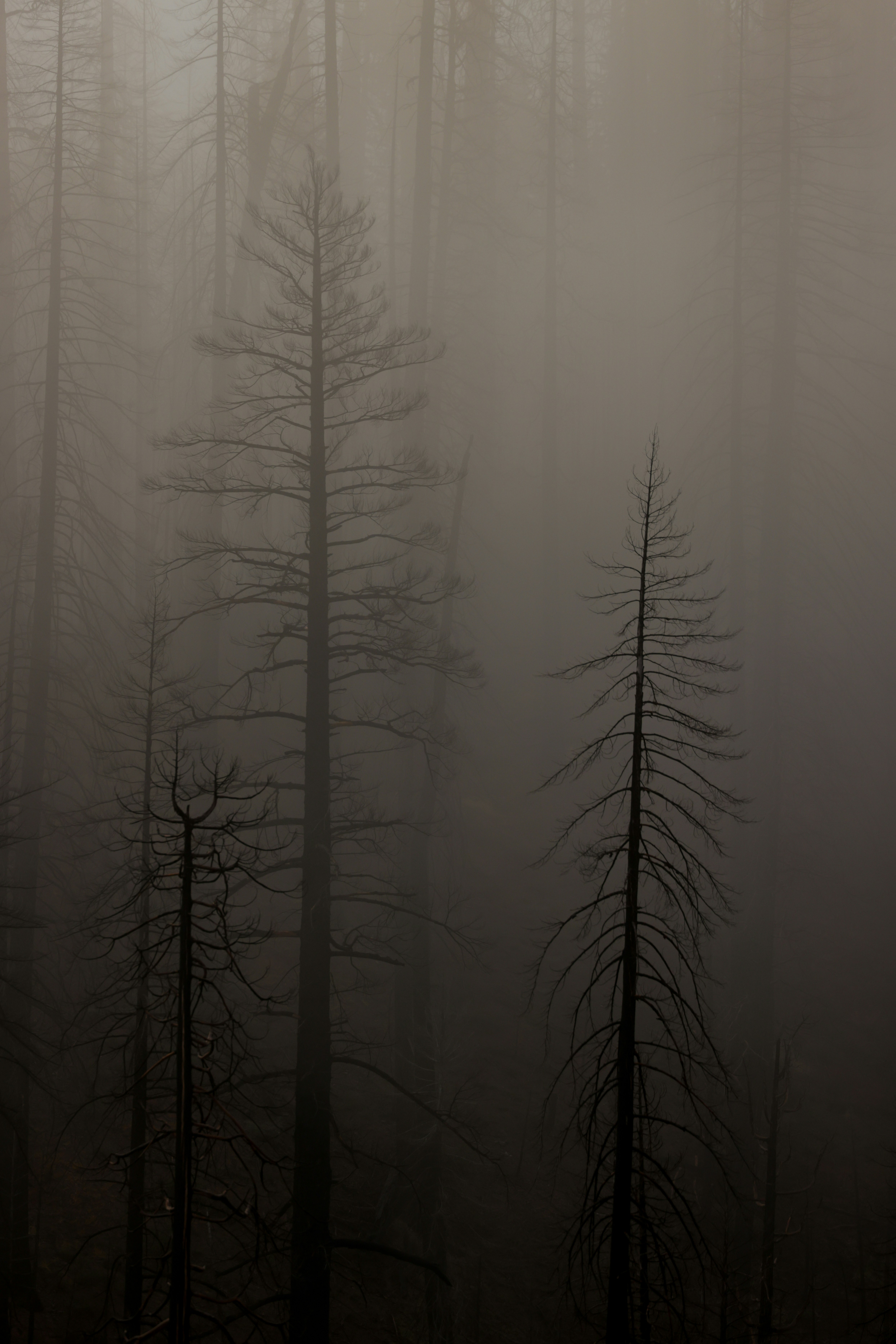 Photo by casunshine0508