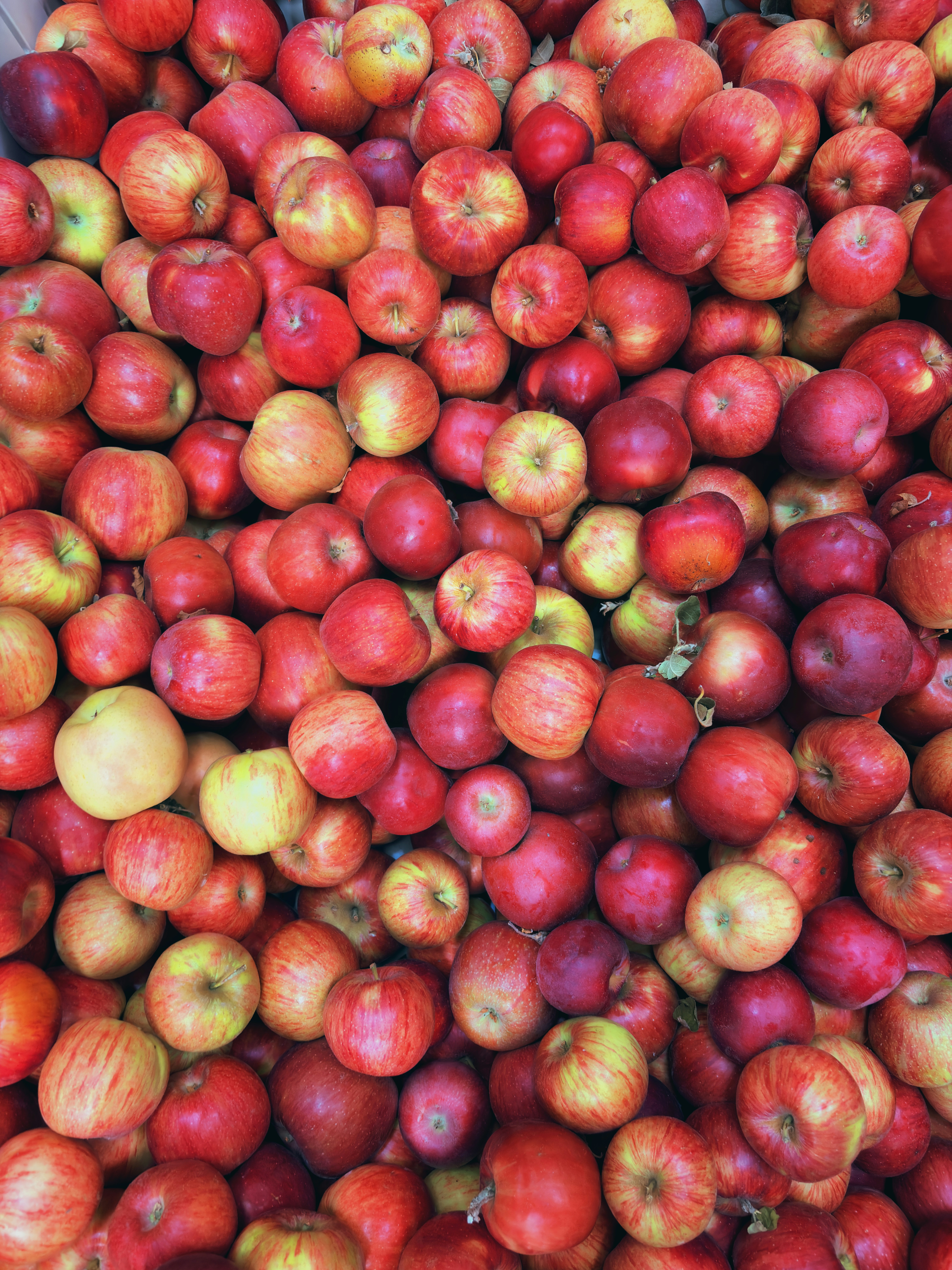 Photo by spencer_demera