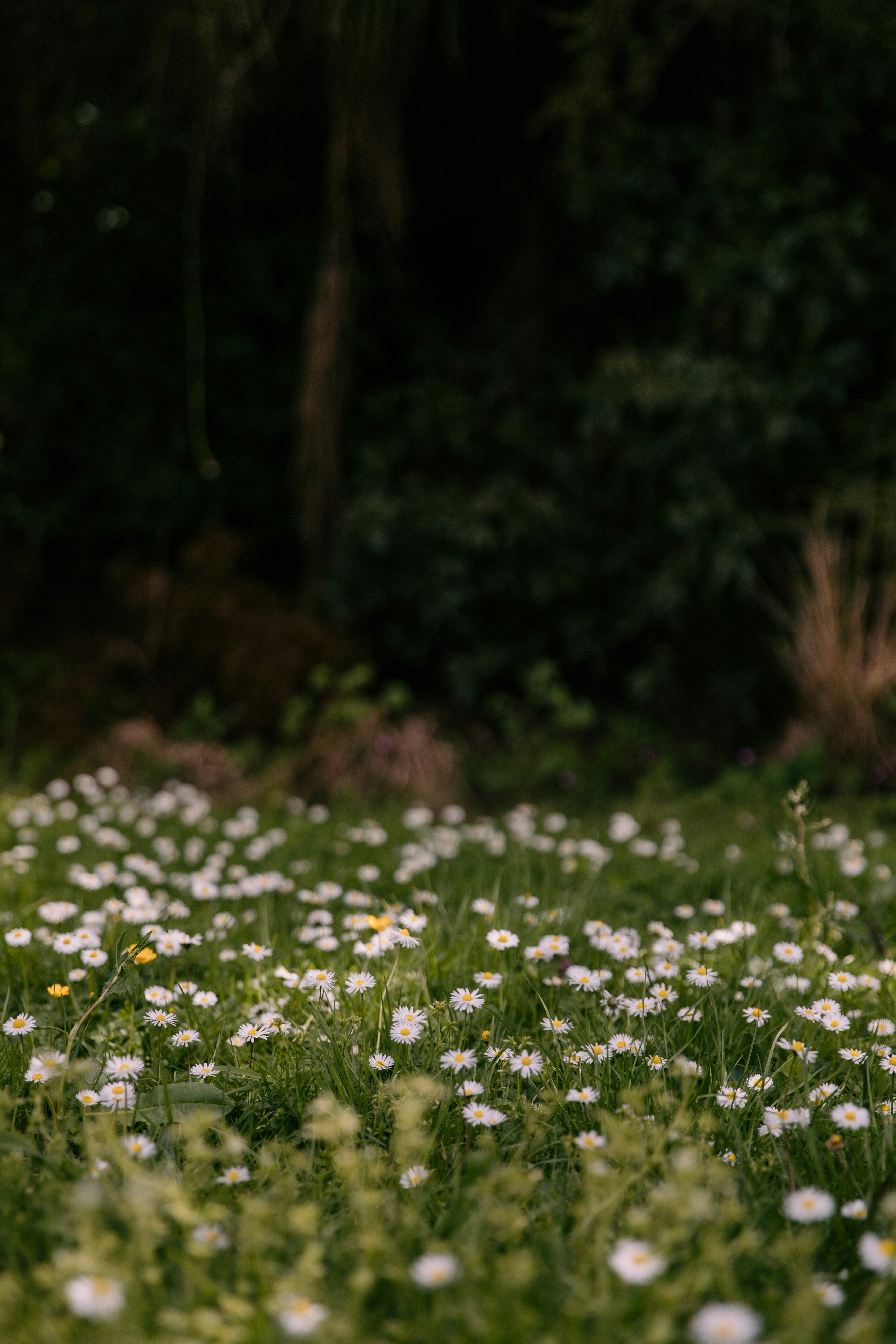 Photo by createinme_nz