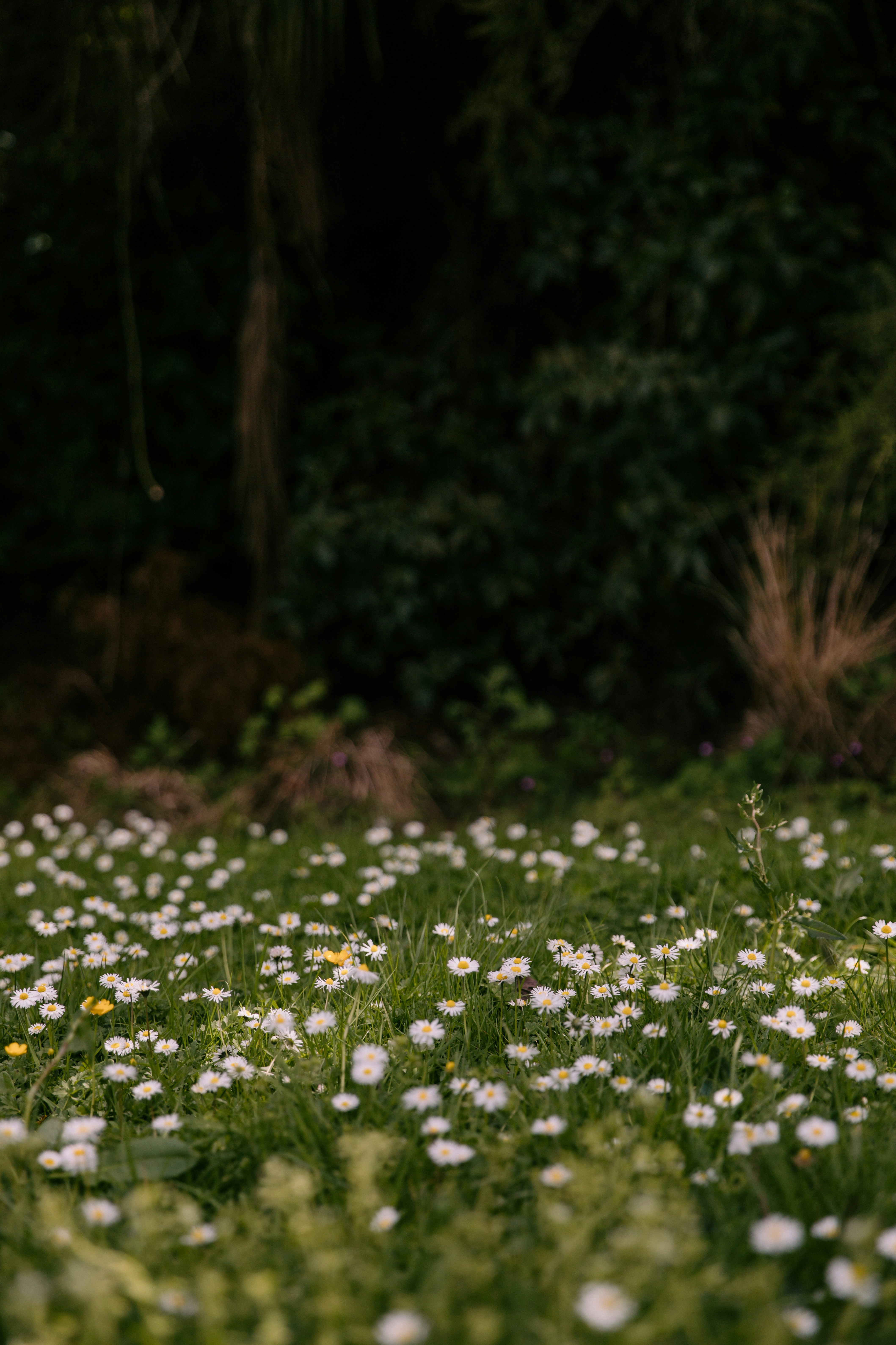 Photo by createinme_nz